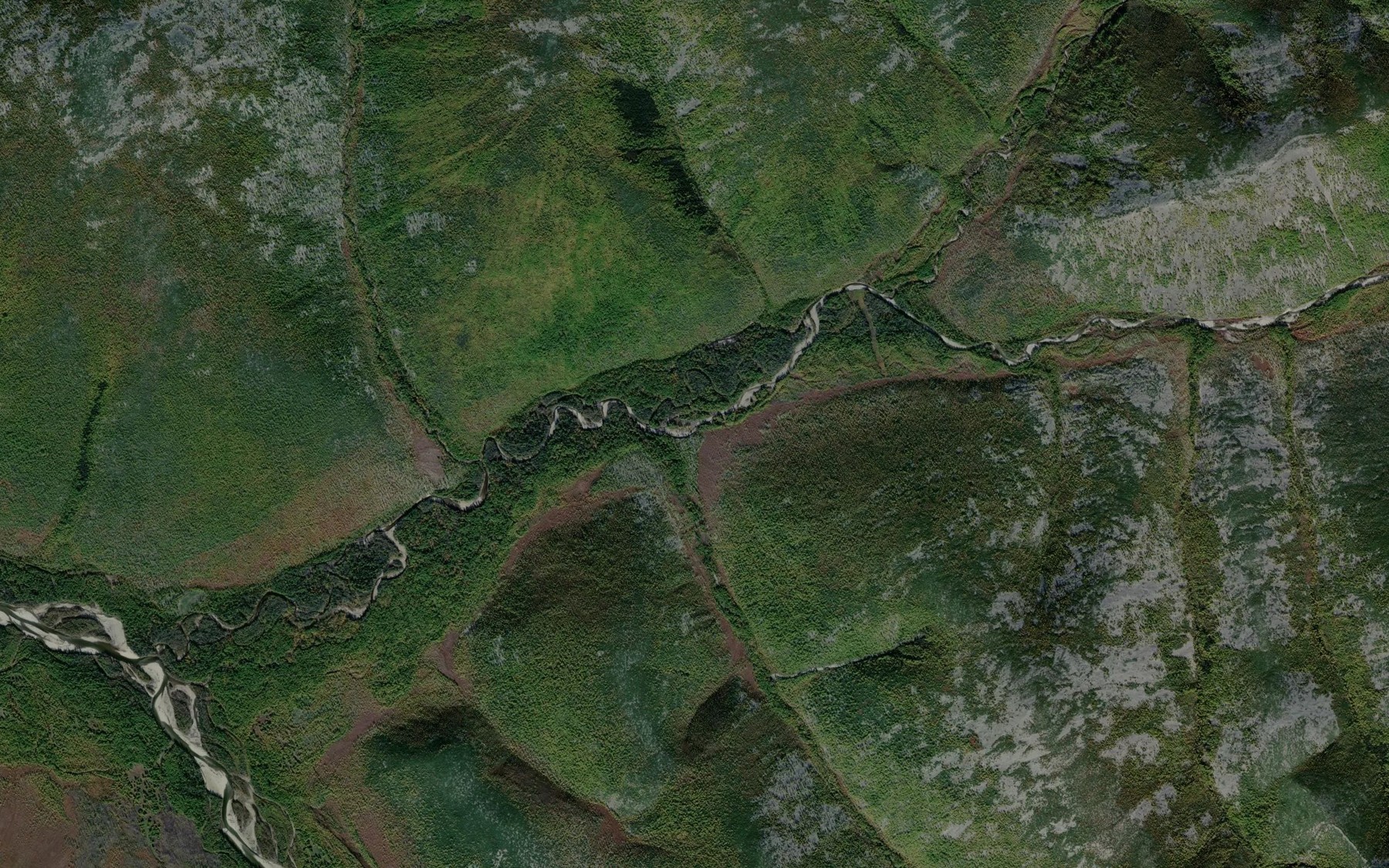 Satellite map of the Shumnyy