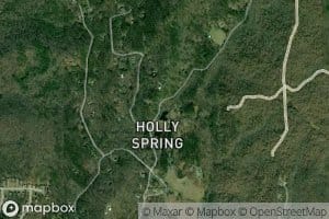 Holly Springs