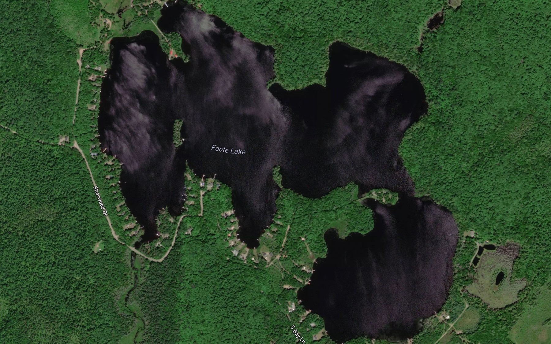 Satellite map of the Foote Lake