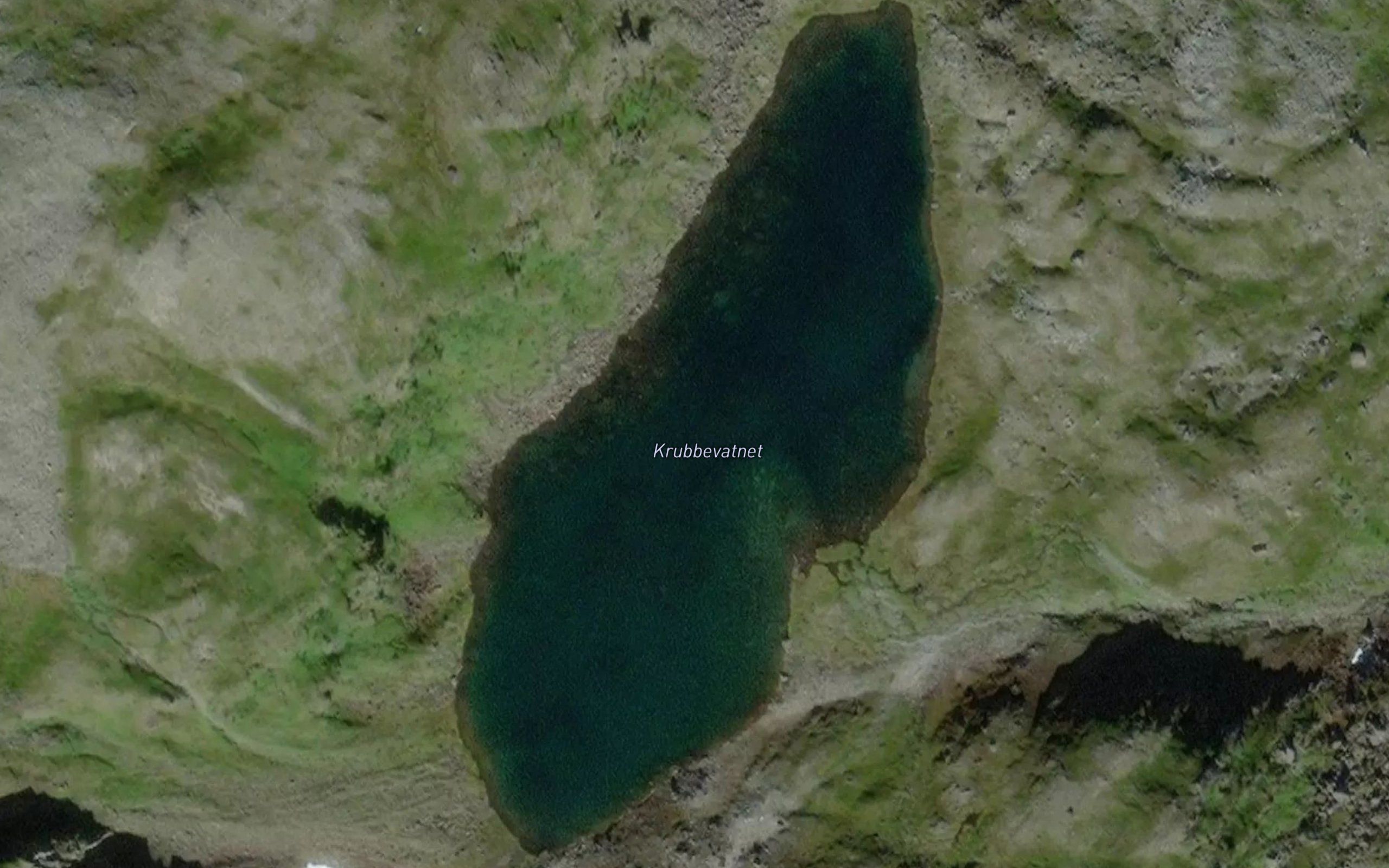 Krubbevatnet