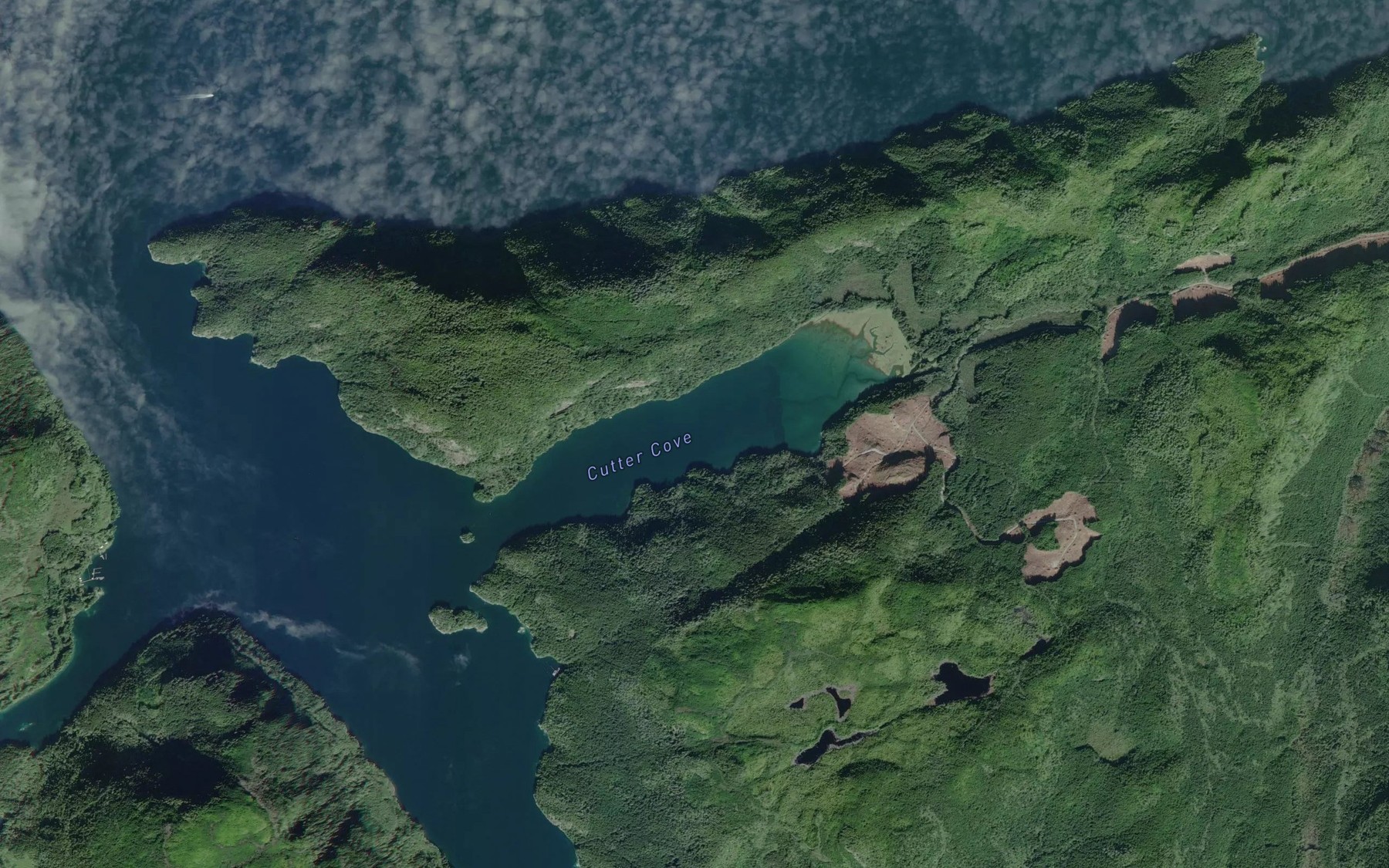 Satellite map of the Cutter Cove