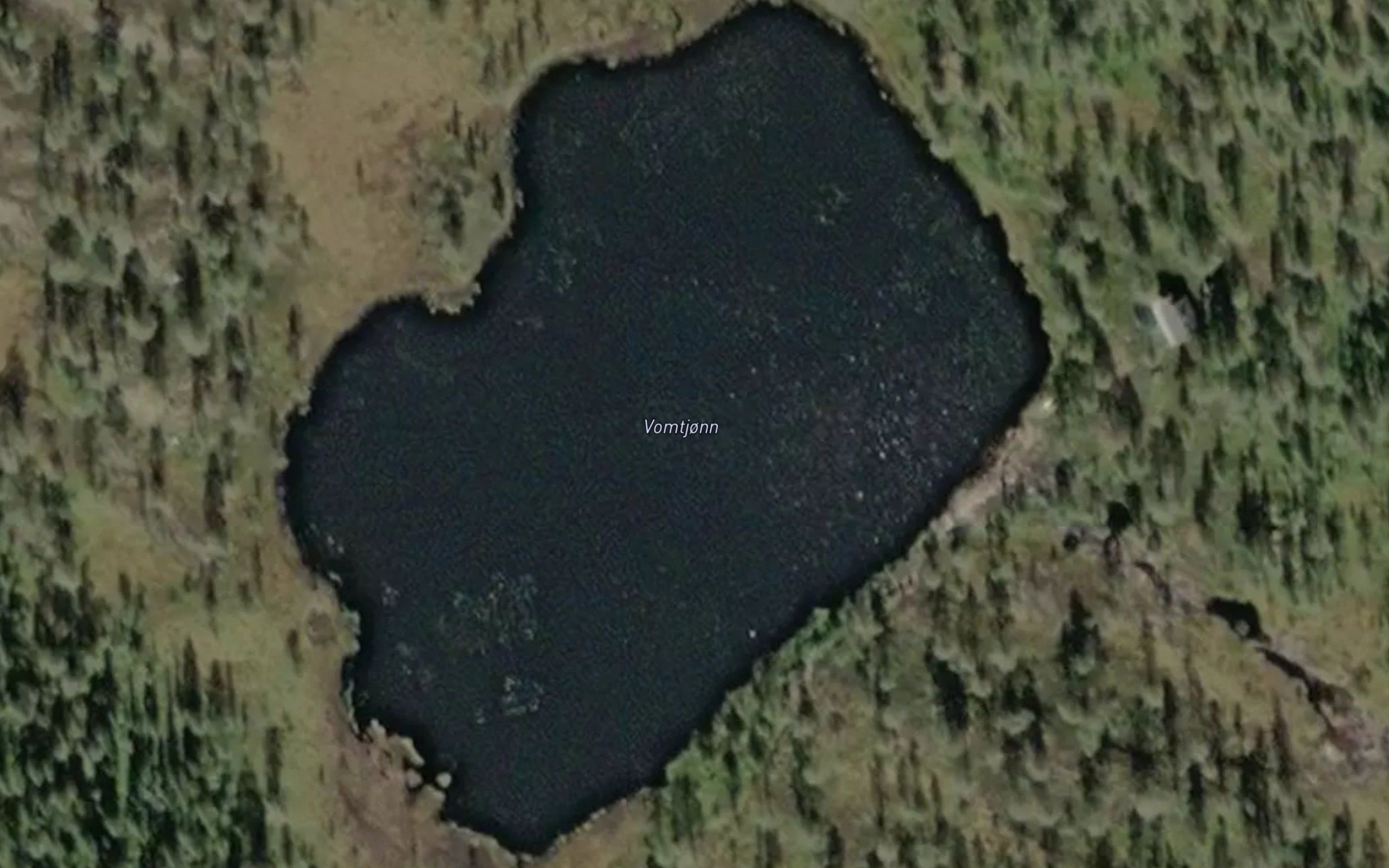 Vomtjorni