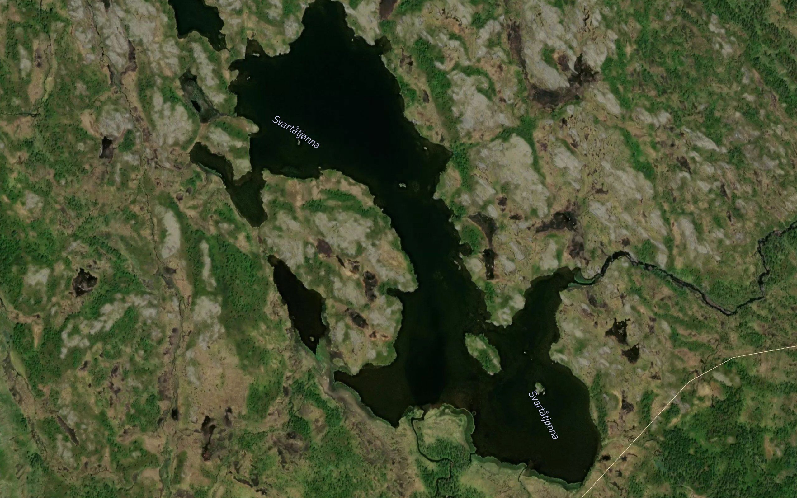 Svartatjonna
