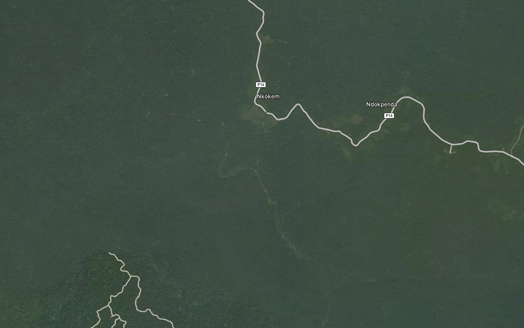 Satellite map of the Kongue