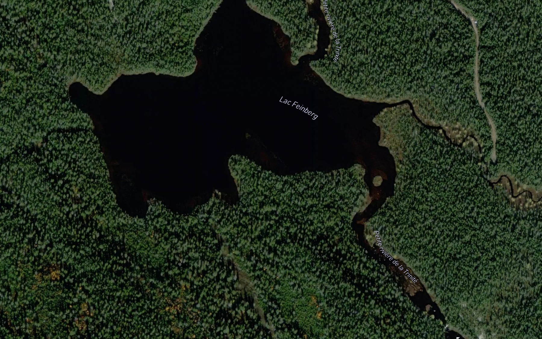 Satellite map of the Lac Feinberg