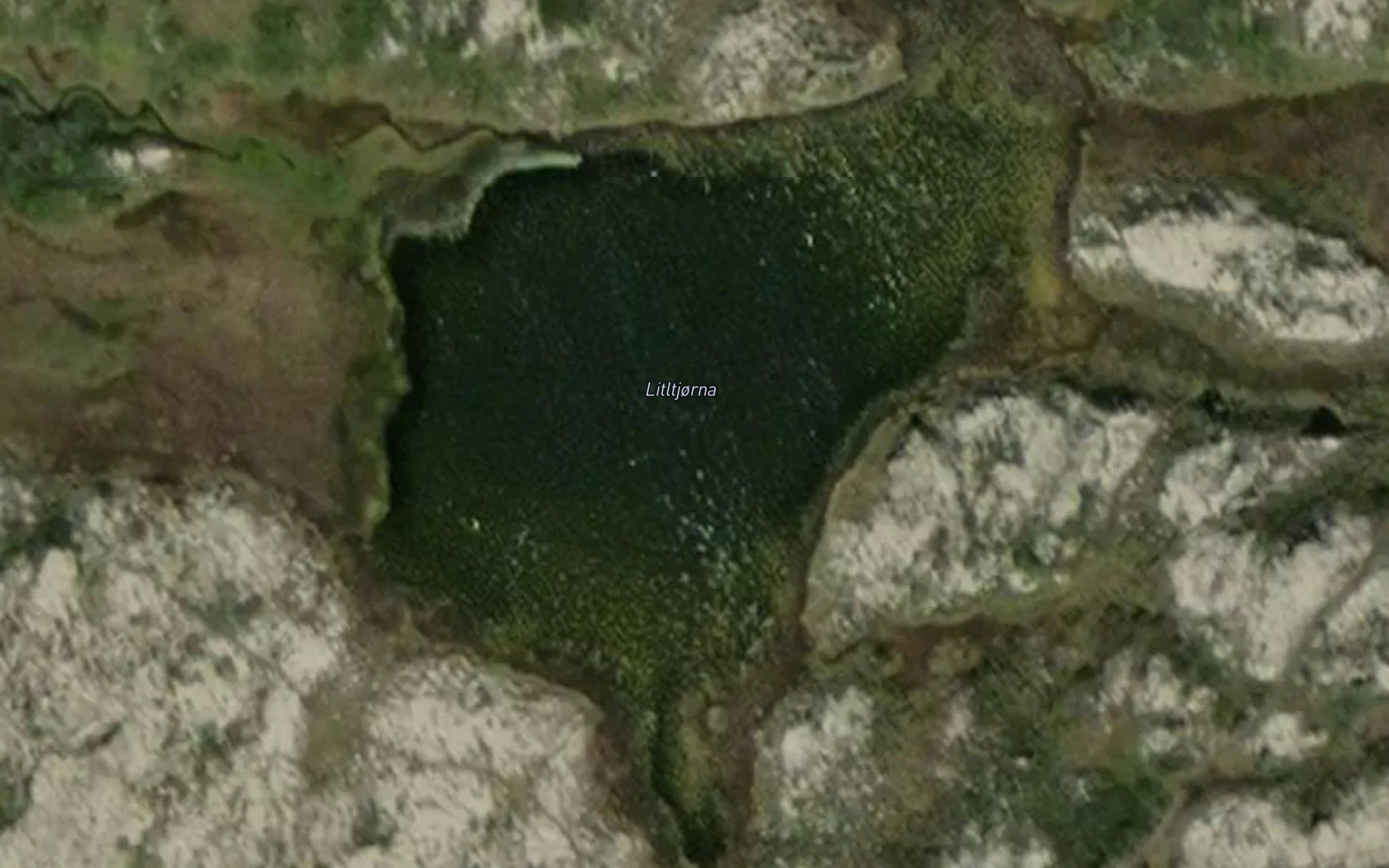 Litltjorna