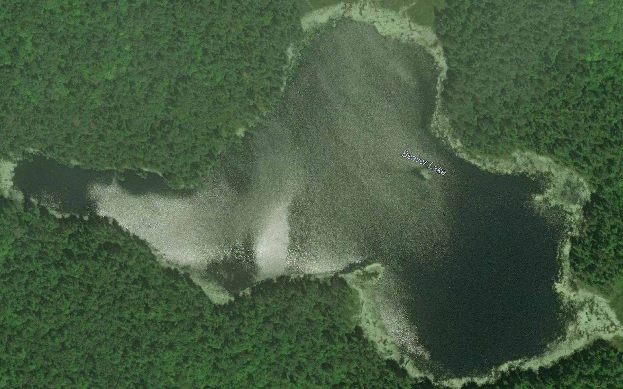 Beaver Lake