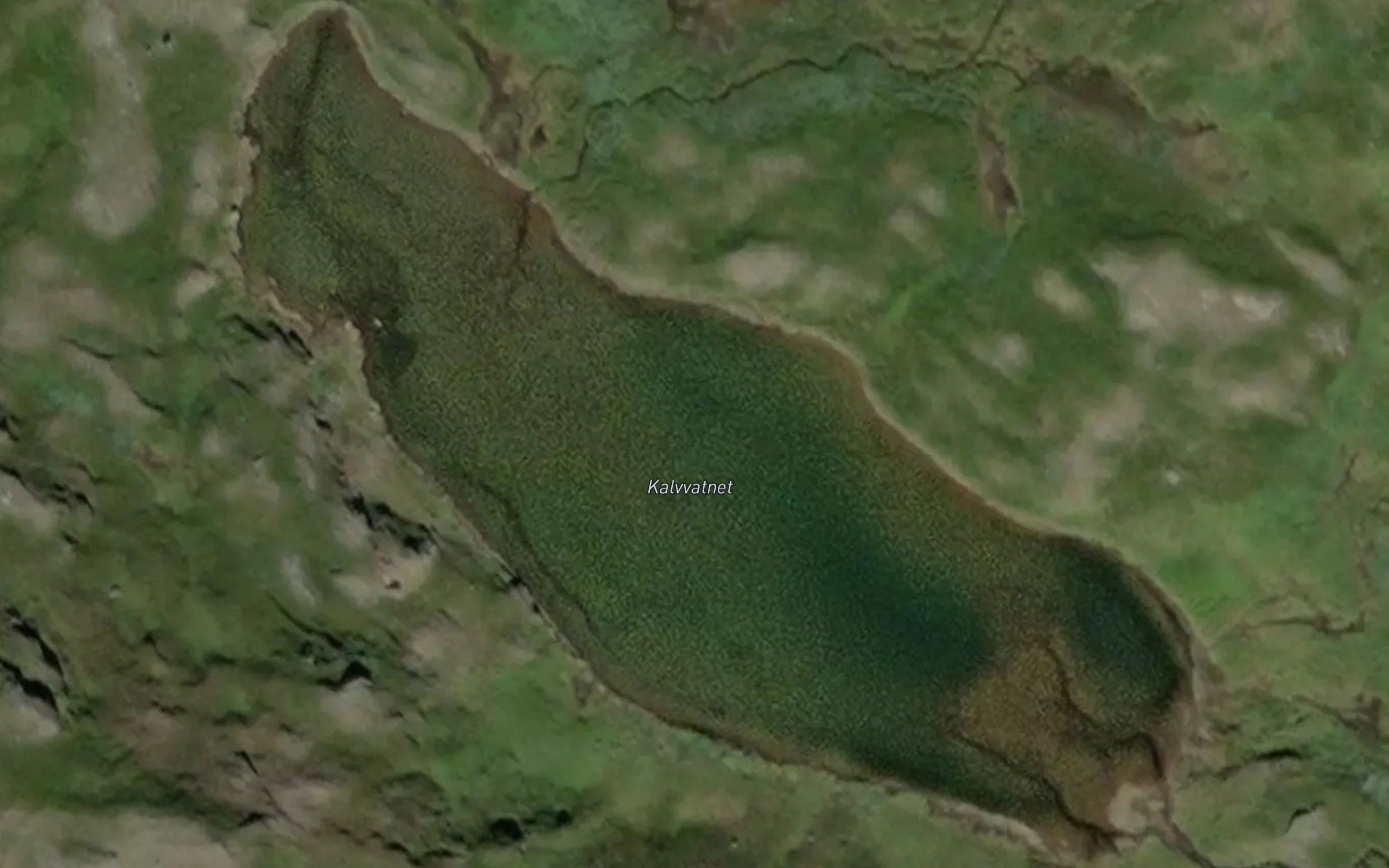 Kalvvatnet
