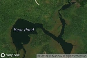 Bear Pond