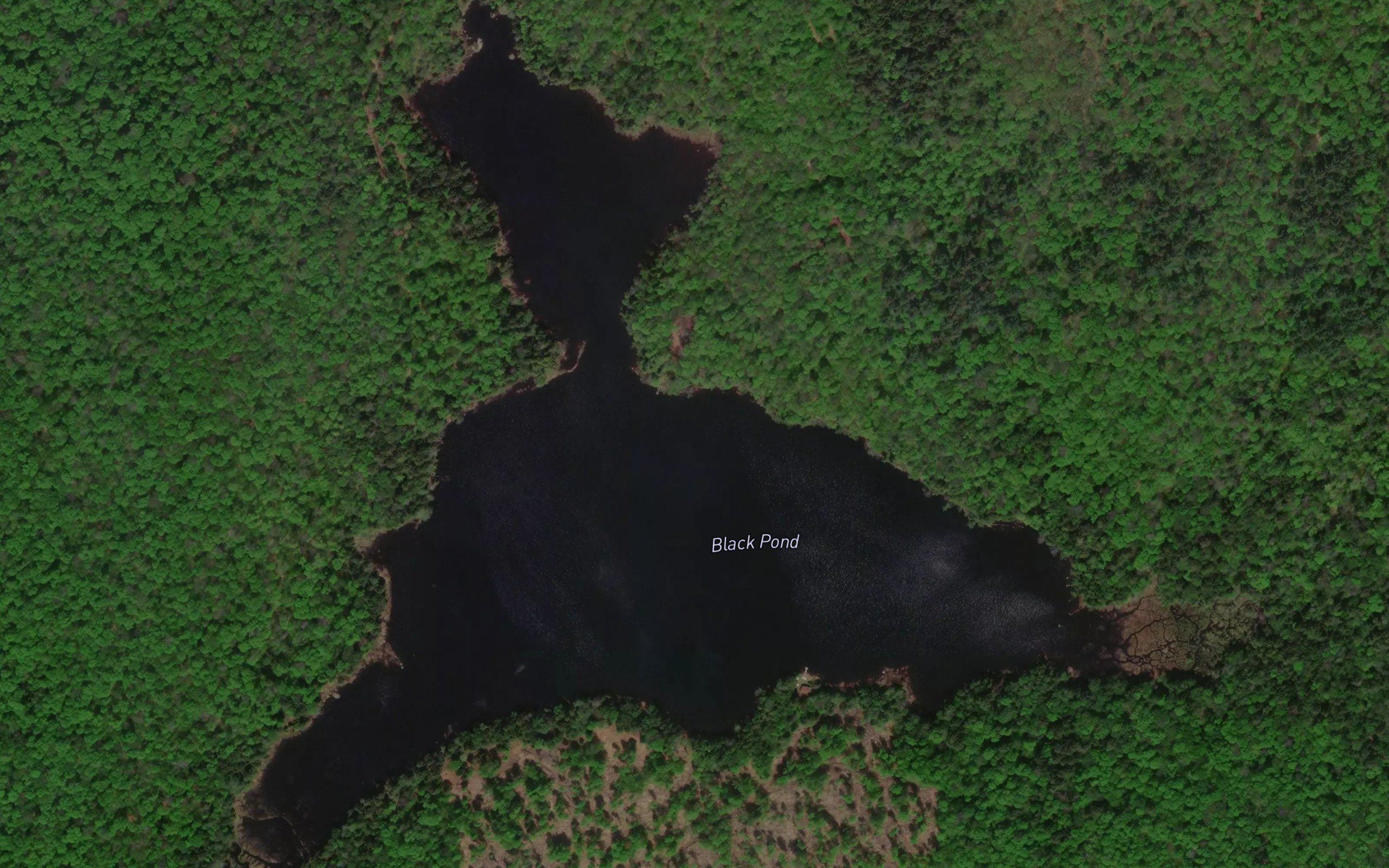Black Pond