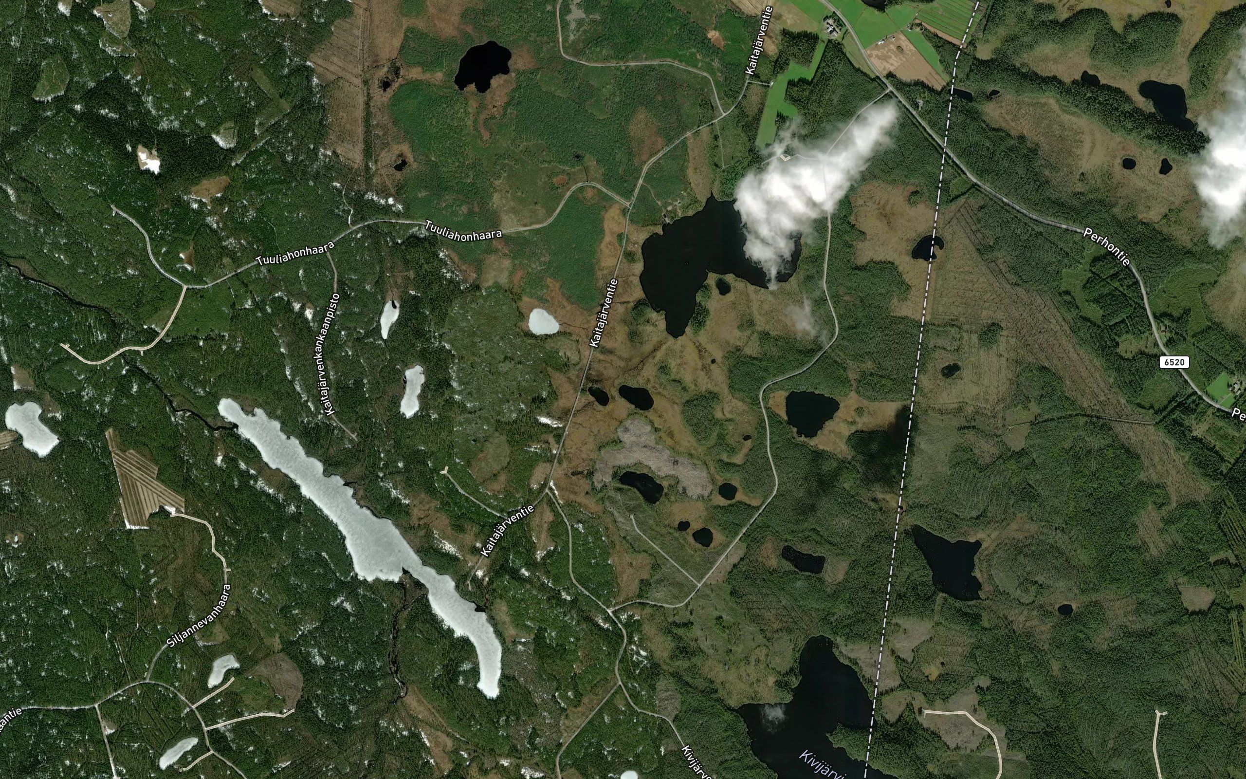 Haukilammit