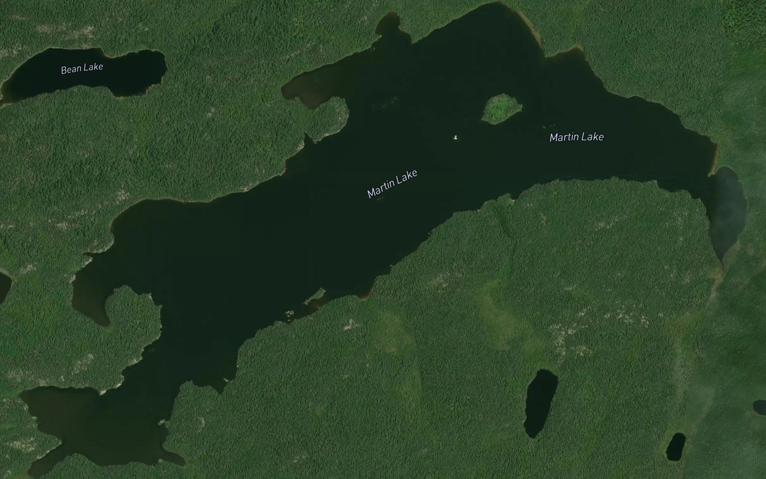 Martin Lake