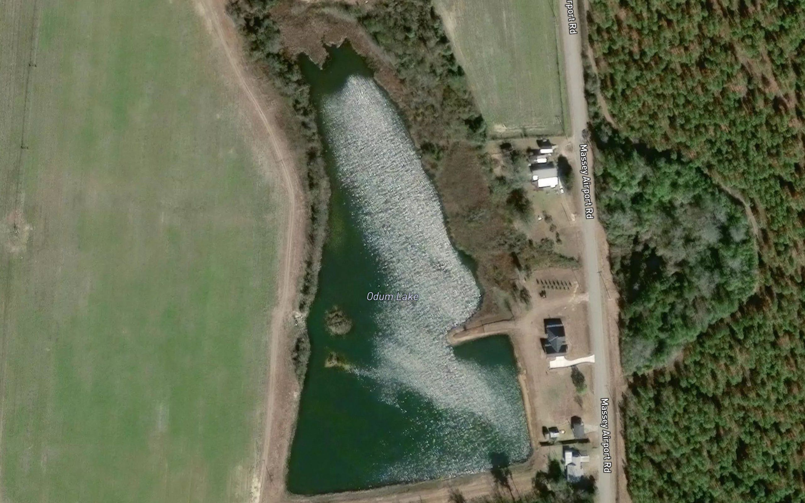 Odum Lake