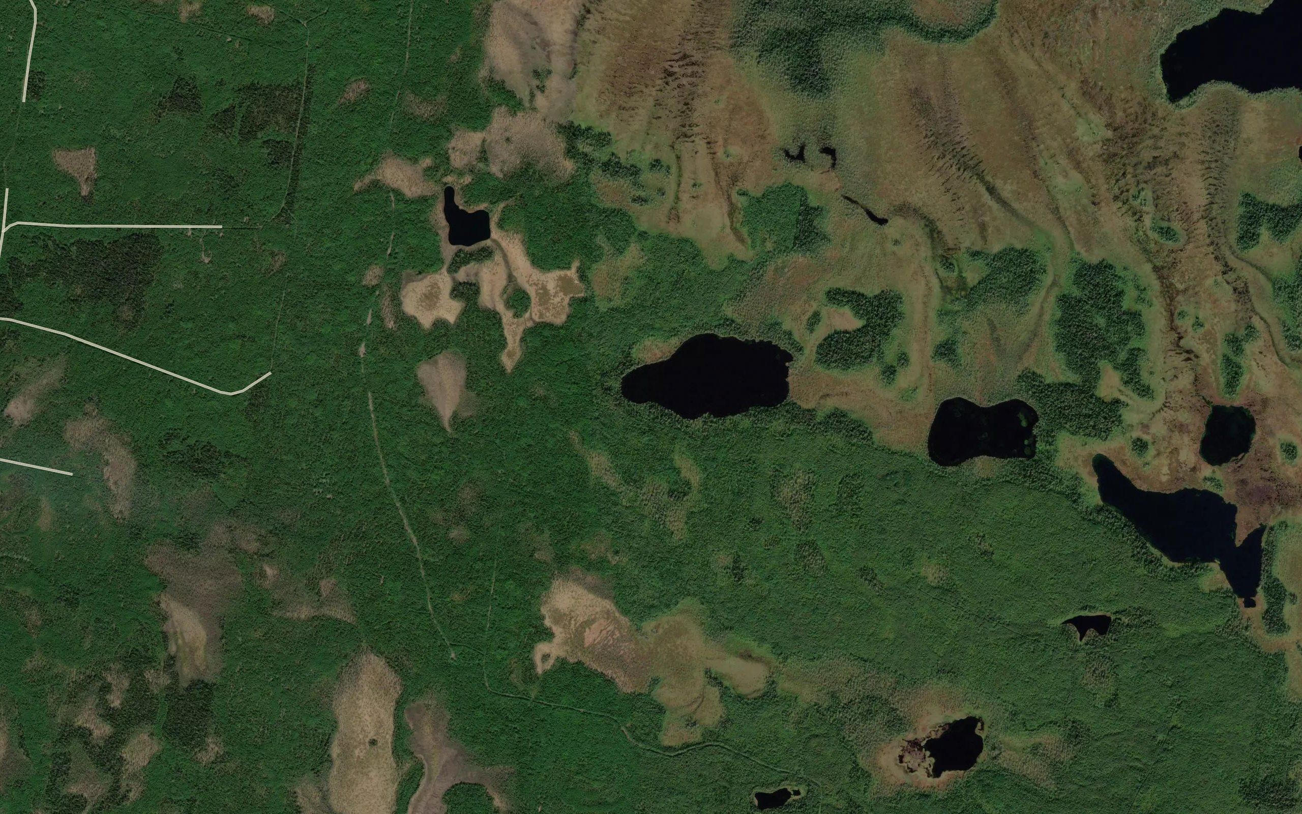 Ozero Krivoye