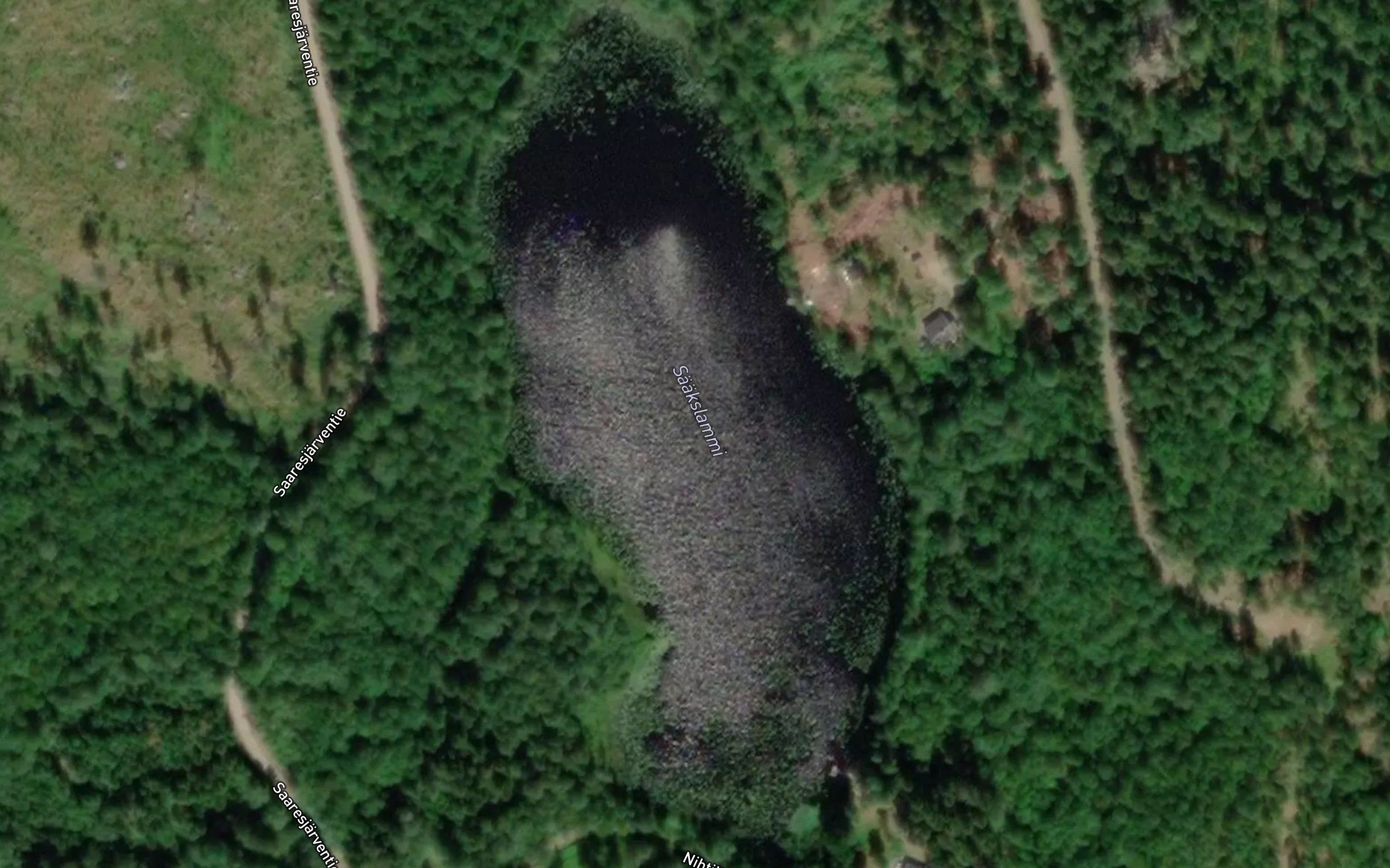 Saakslammi