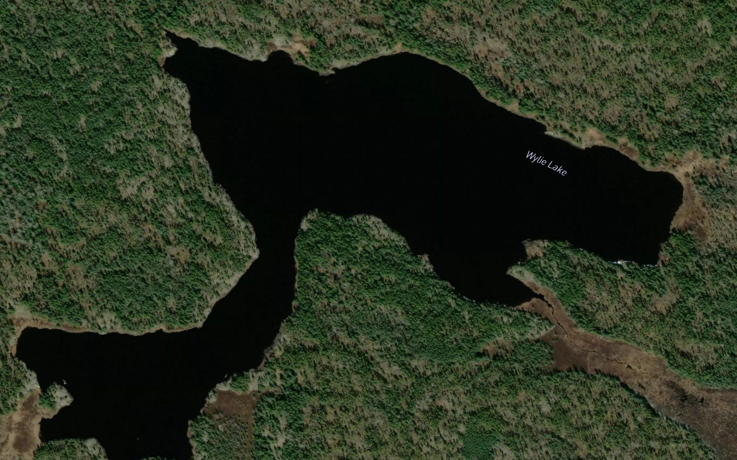 Wylie Lake