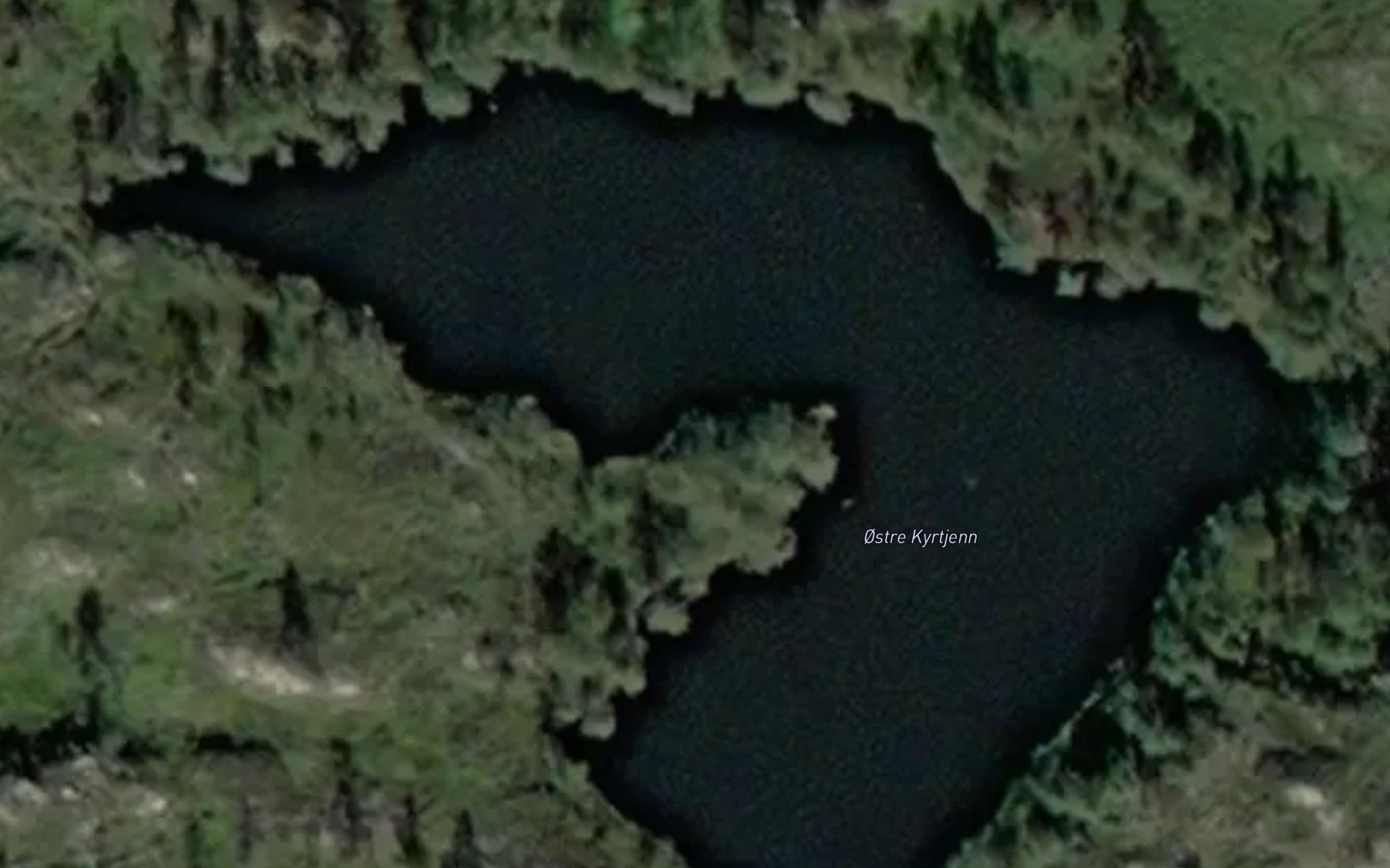 Kyrtjorn,ostre