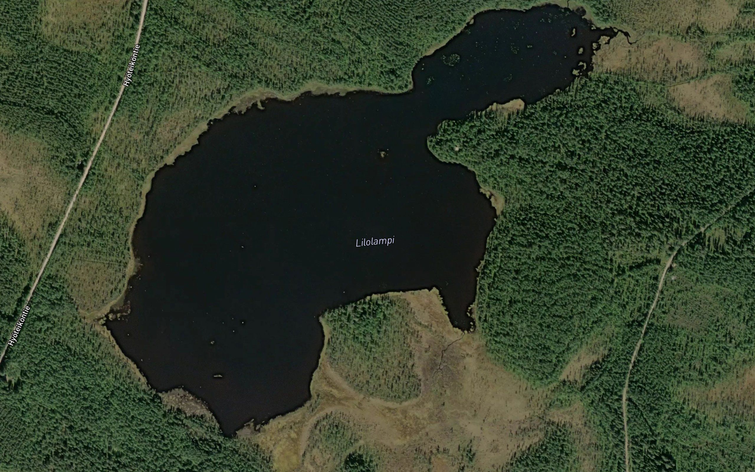 Liolampi