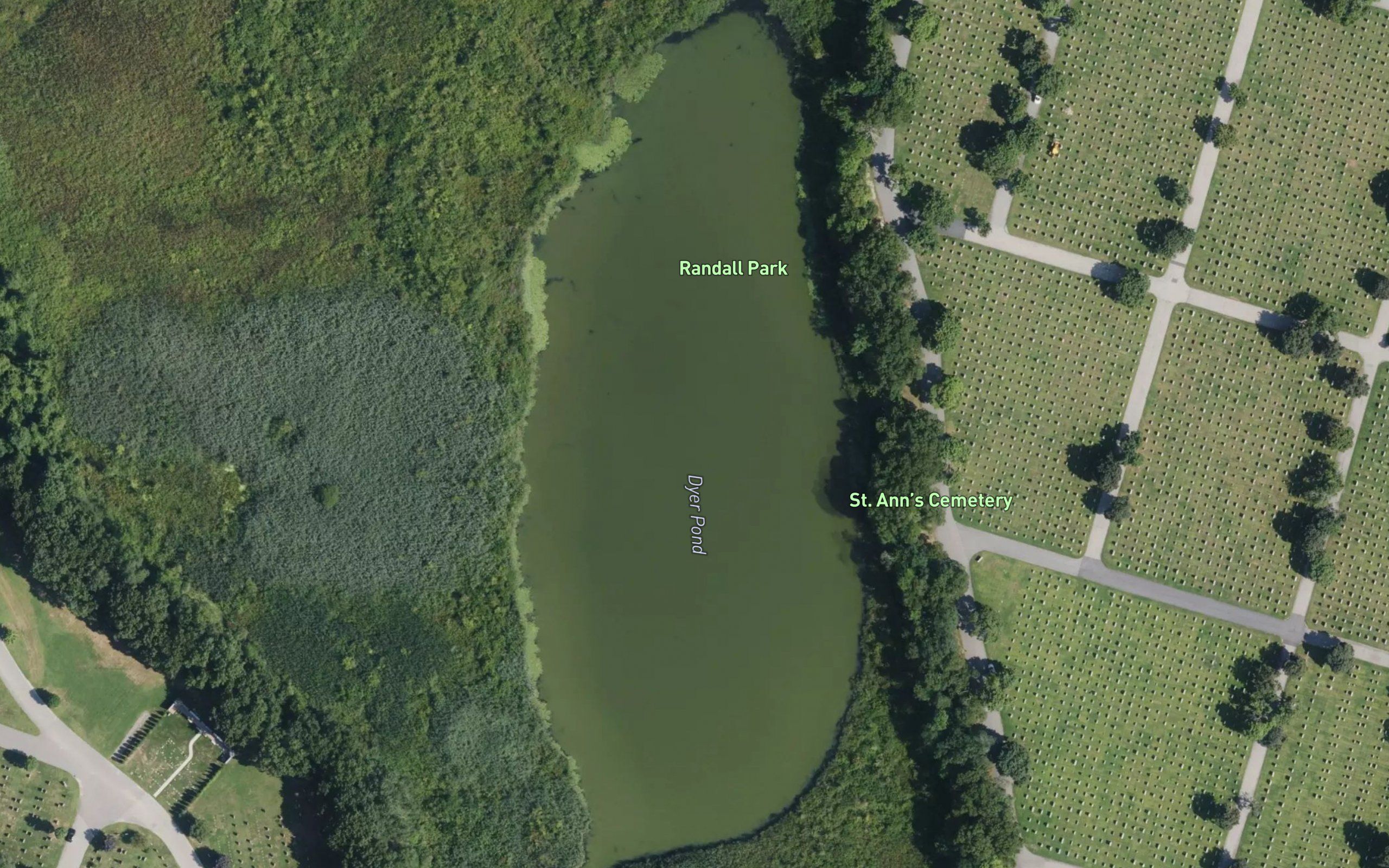 Dyer Pond