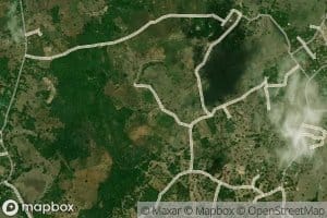 Tammennaketigama Wewa