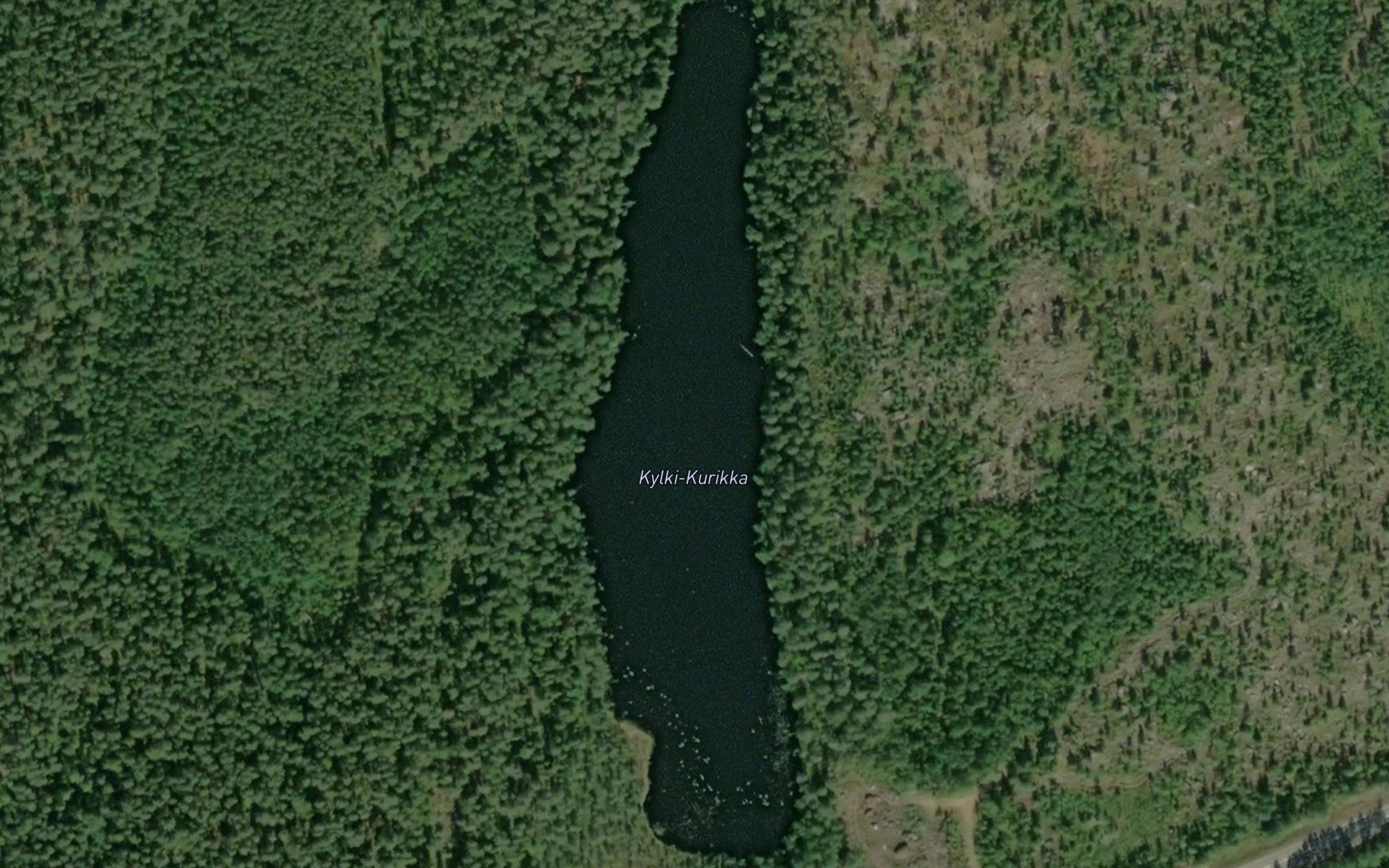 Kylki-Kurikka