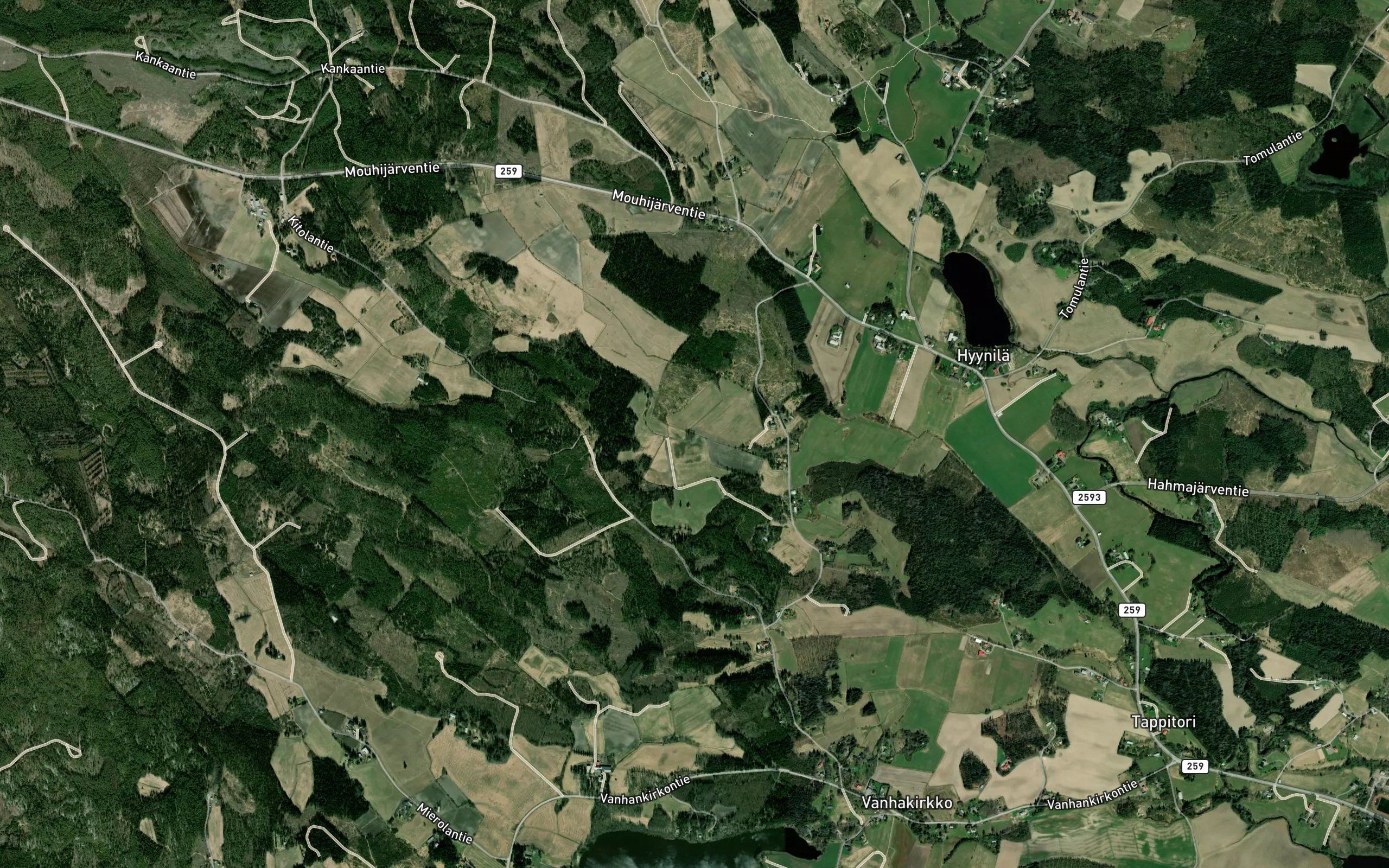 Korventaustanoja