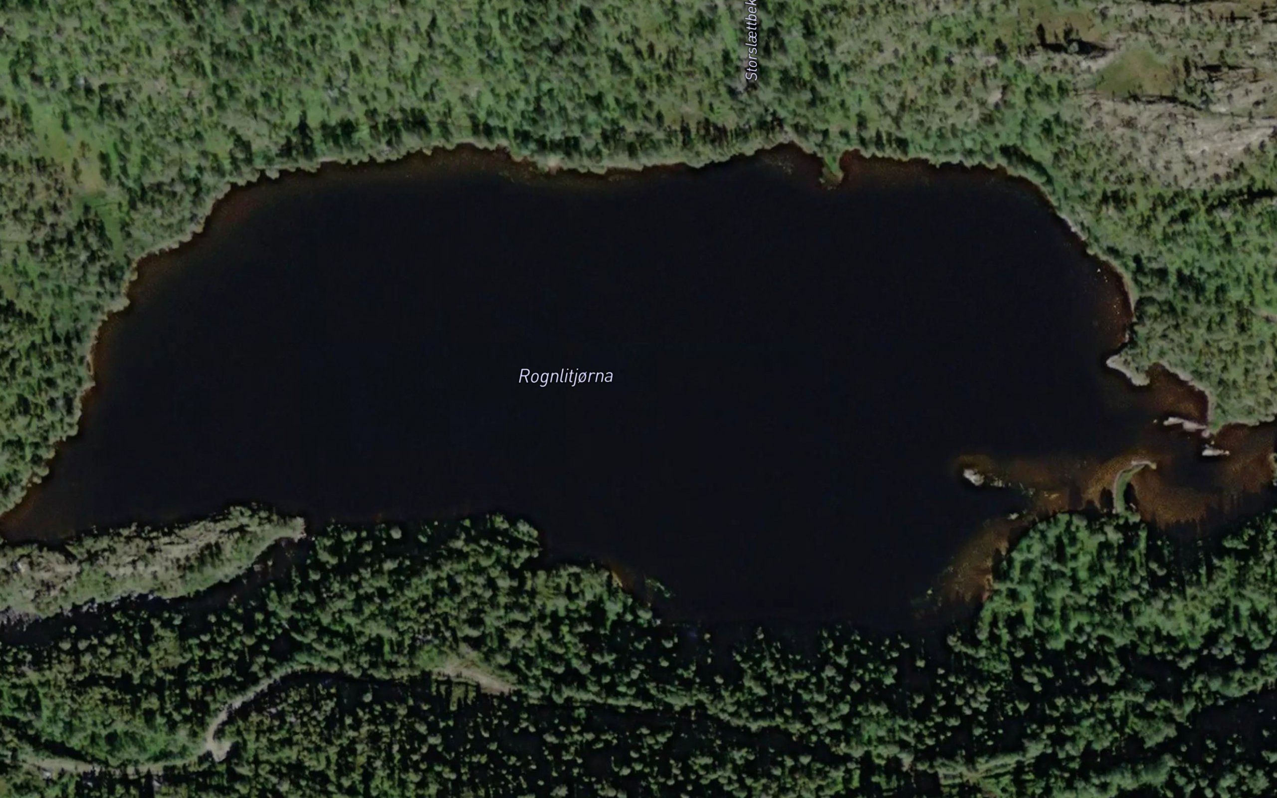 Rognlitjorna