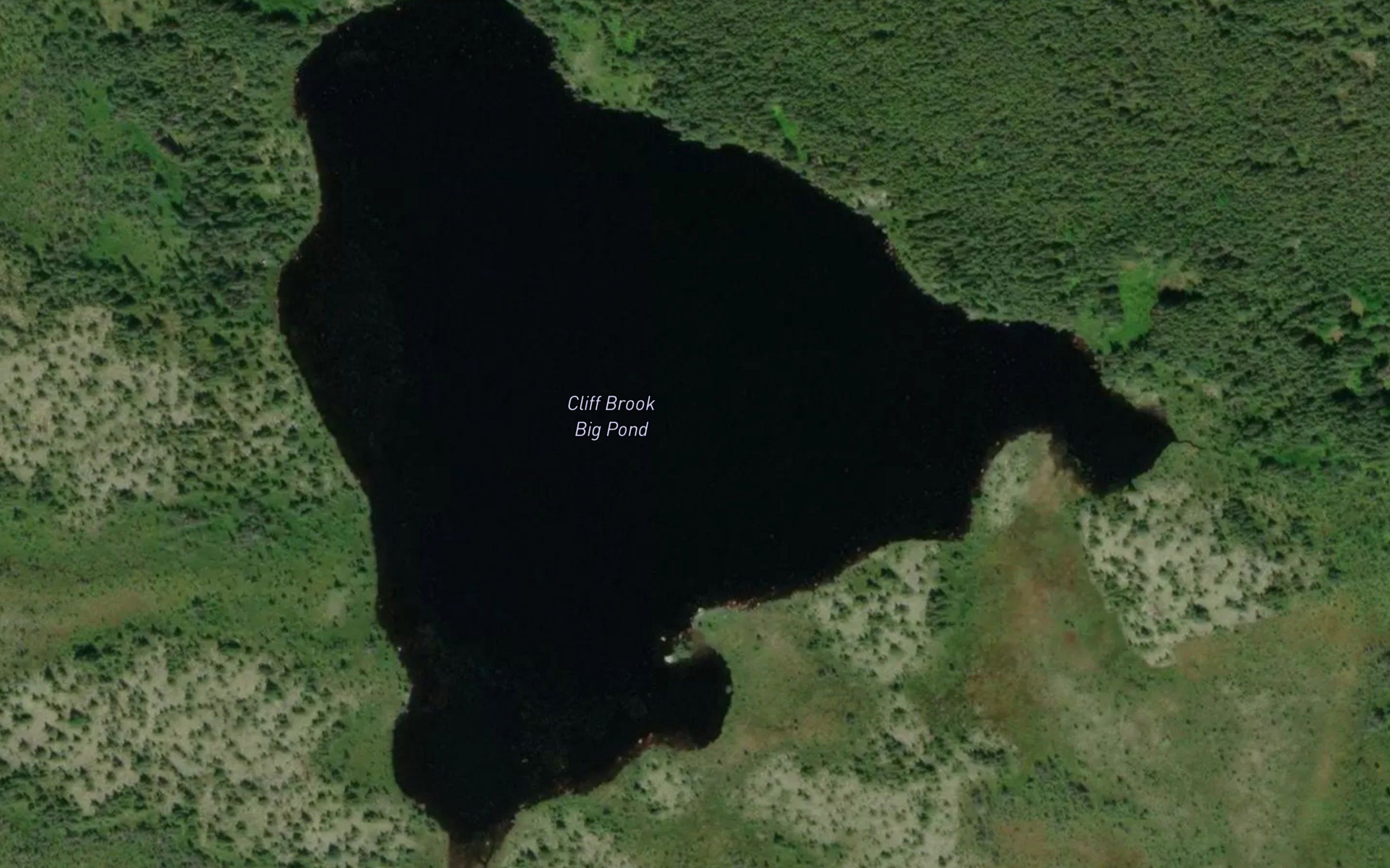 Cliff Brook Big Pond