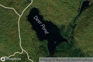 Deer Pond