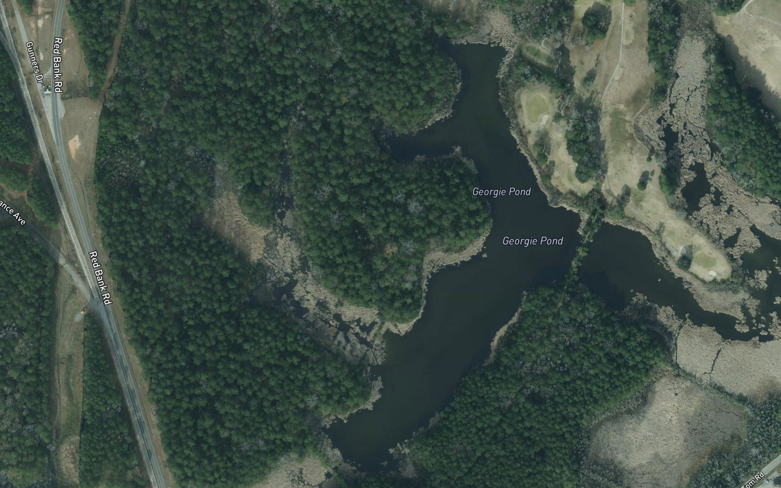Georgie Pond