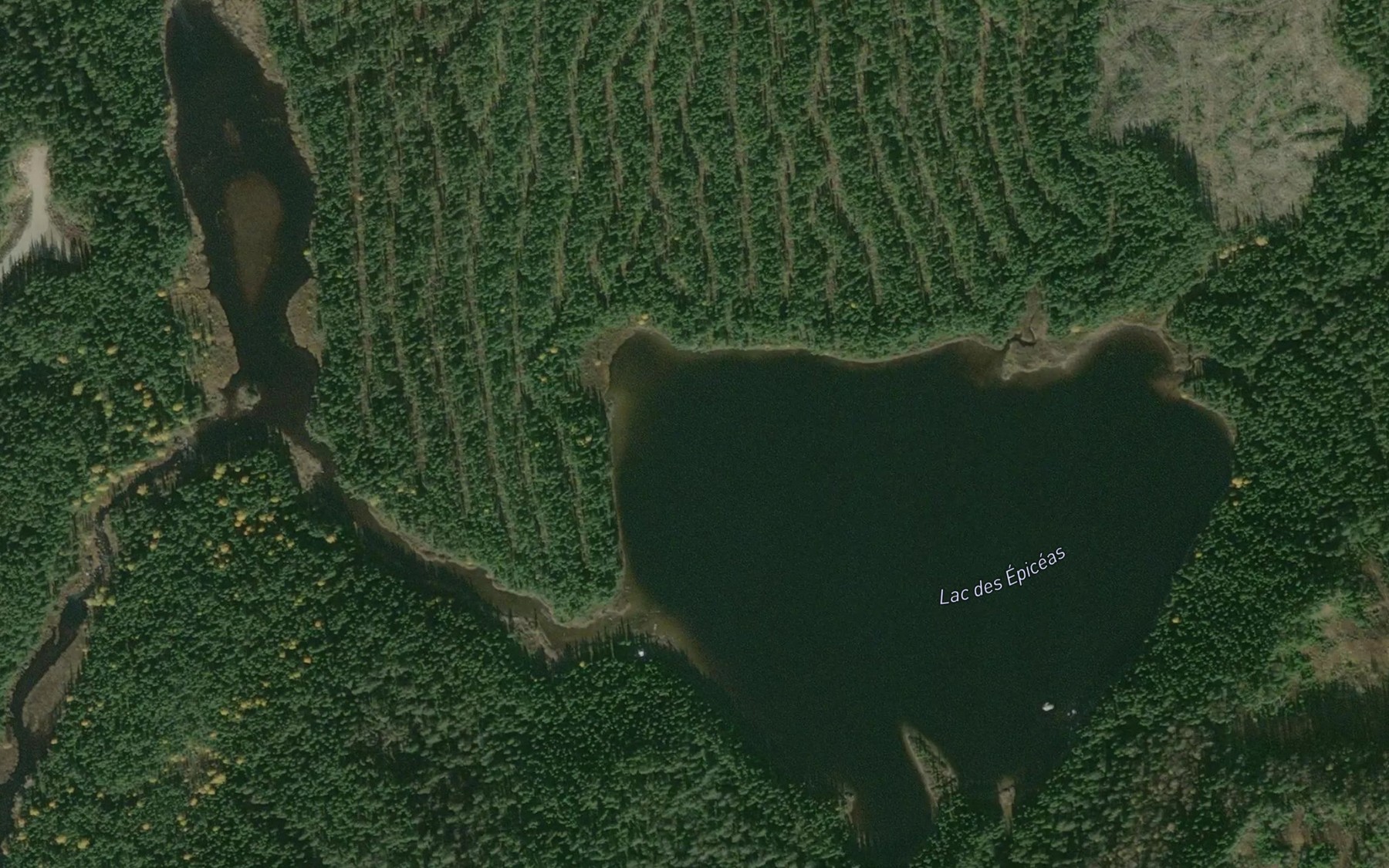 Satellite map of the Lac des Epiceas