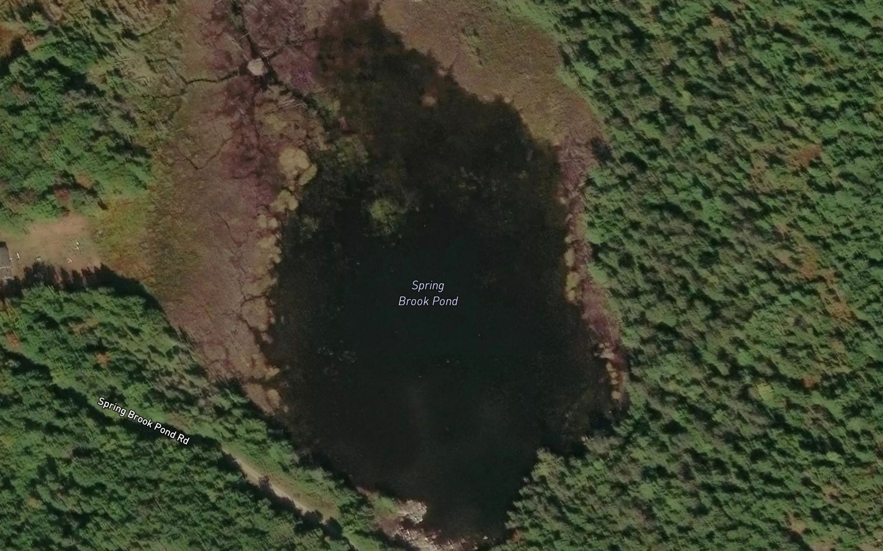Satellite map of the Spring Brook Pond