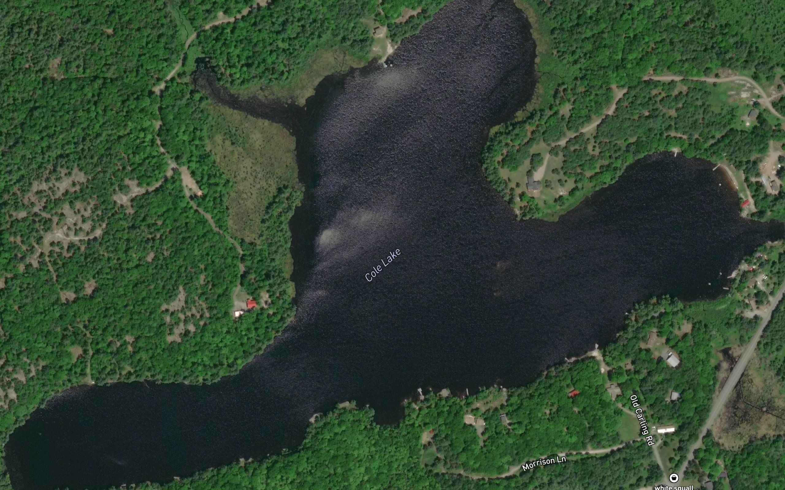 Cole Lake