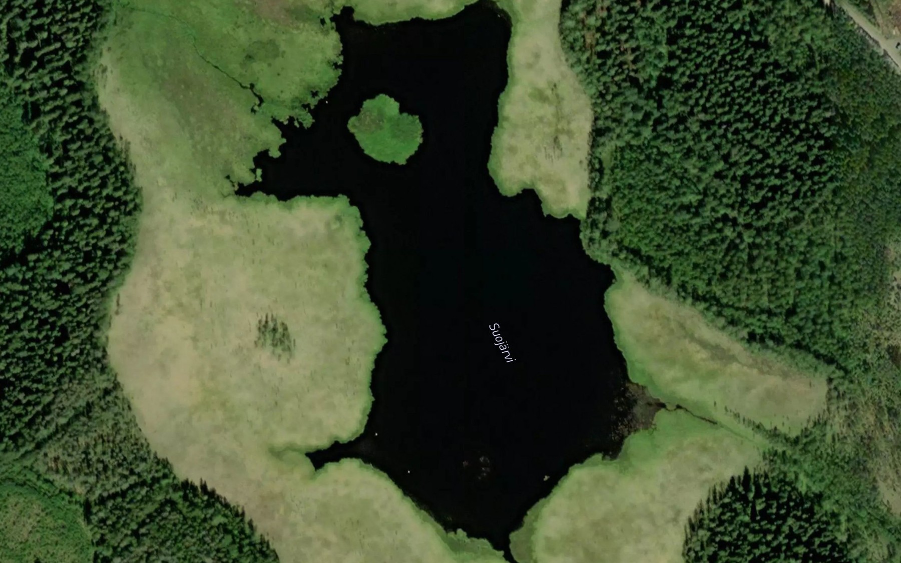 Satellite map of the Suojarvi