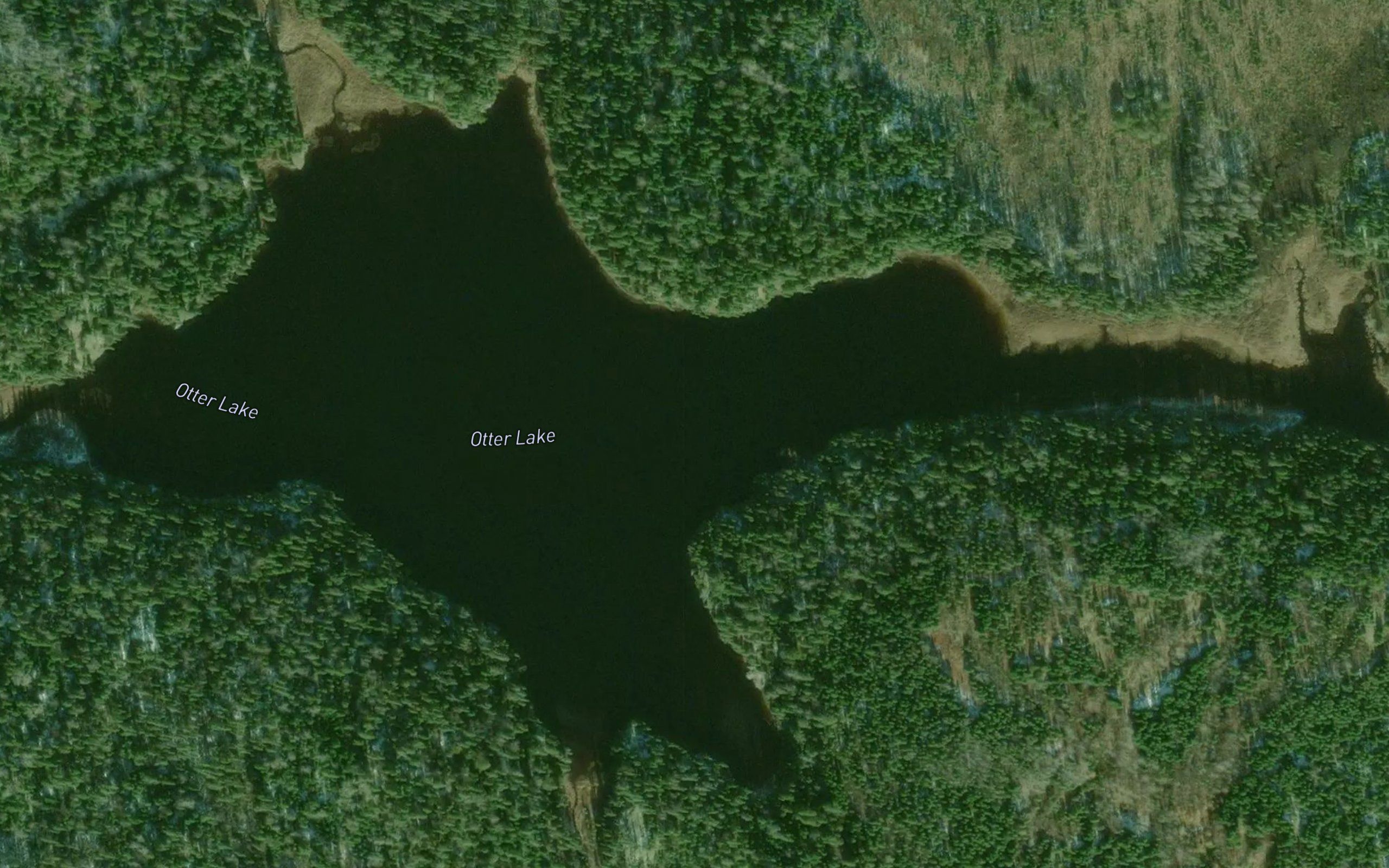 Otter Lake