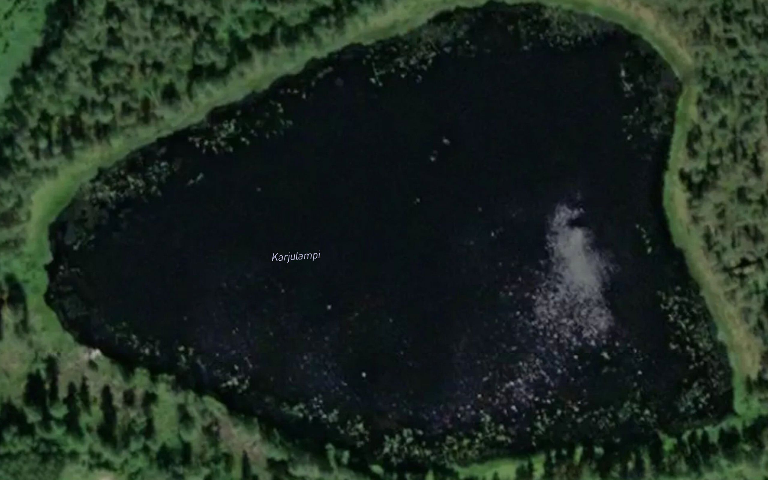 Karjulampi