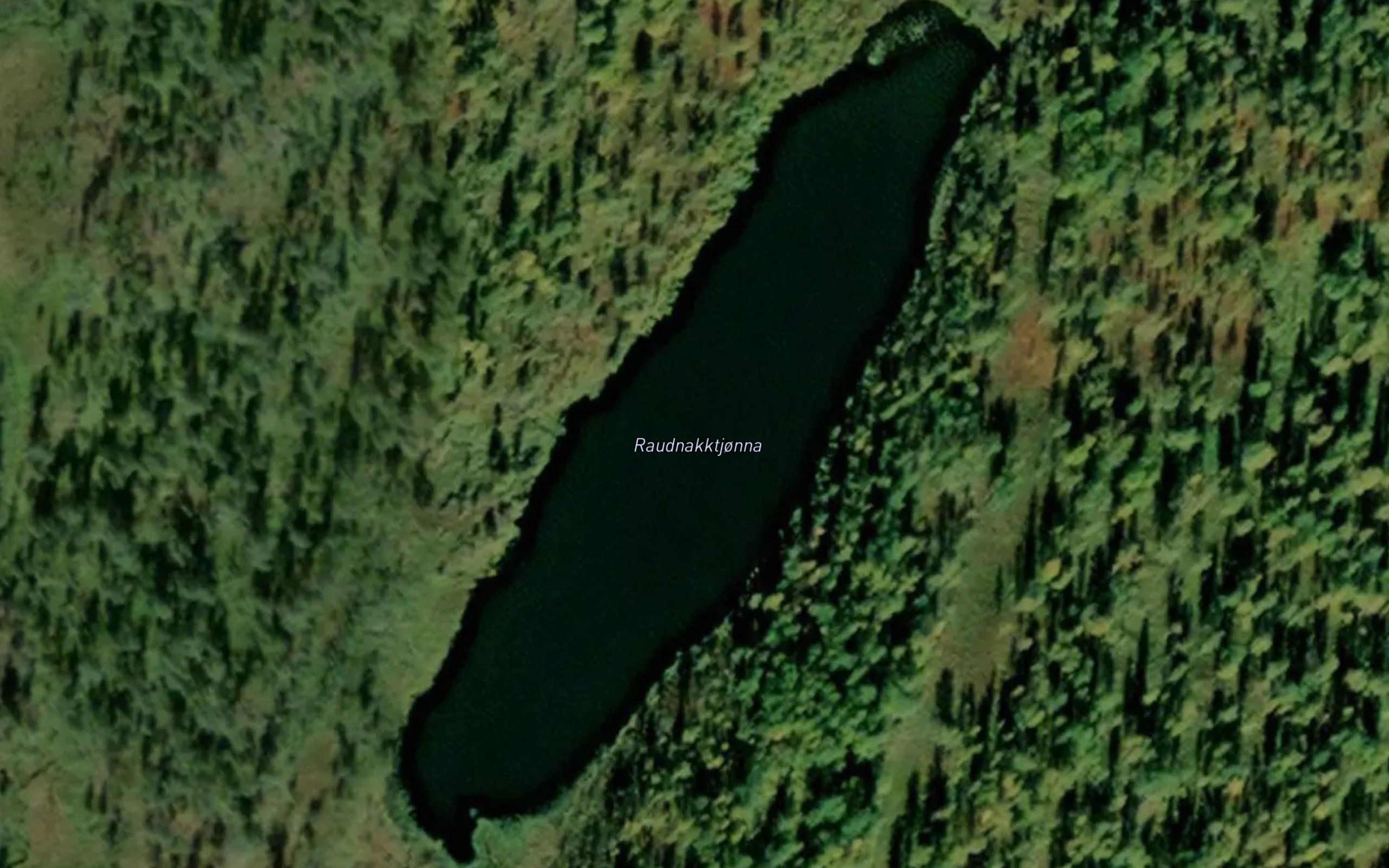 Raudnakktjorna
