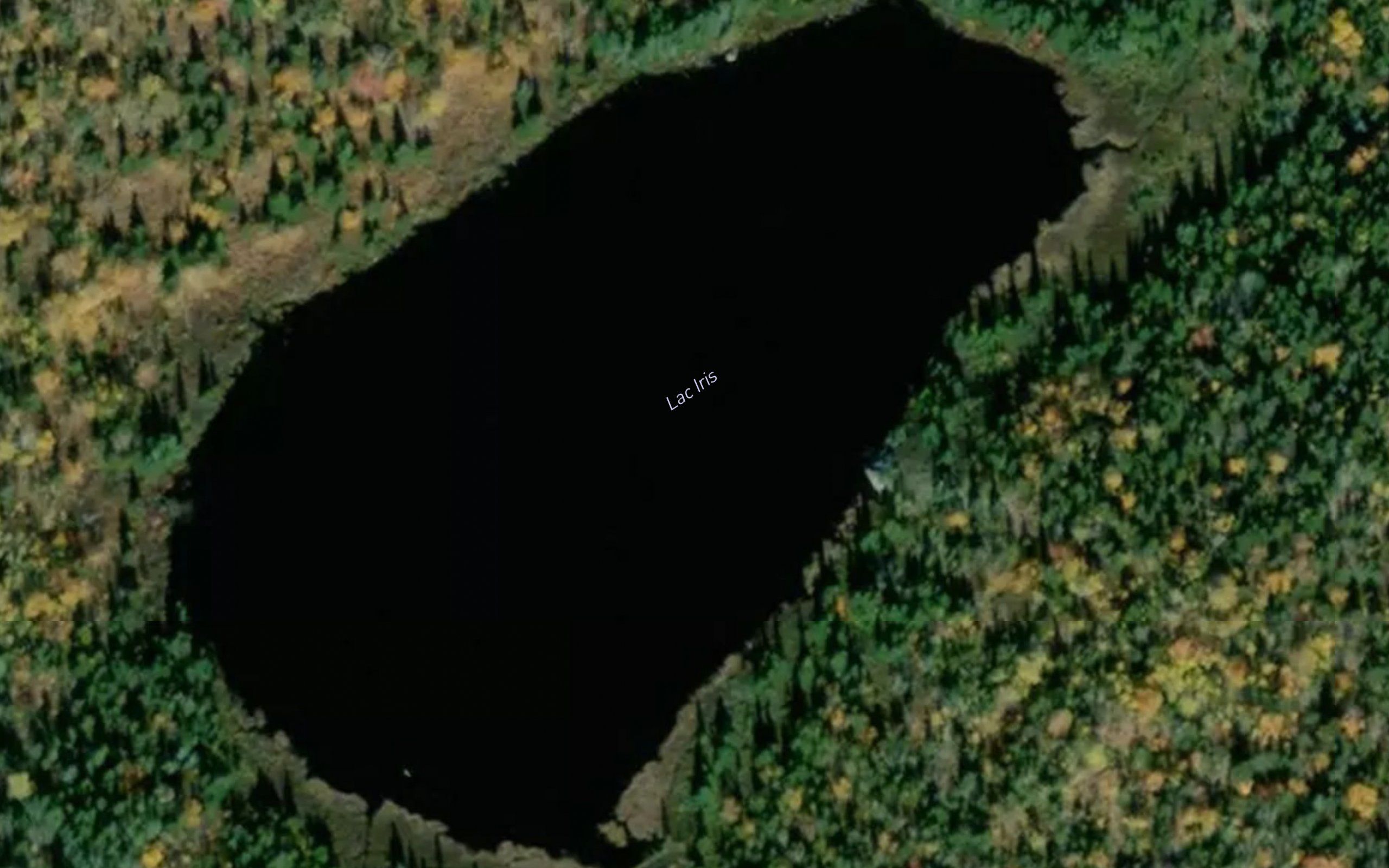 Lac Iris