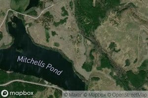 Mitchells Pond