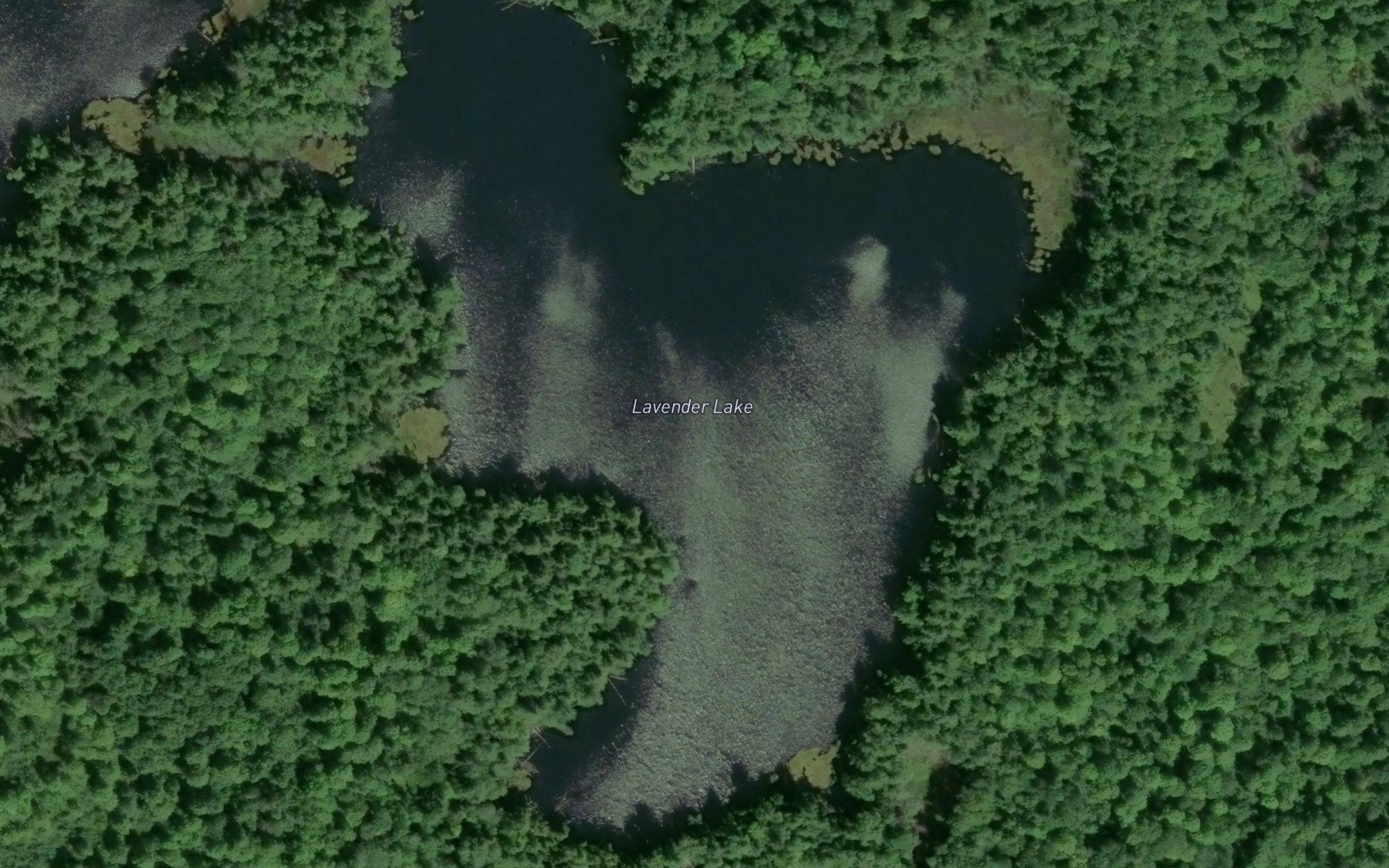 Satellite map of the Lavender Lake