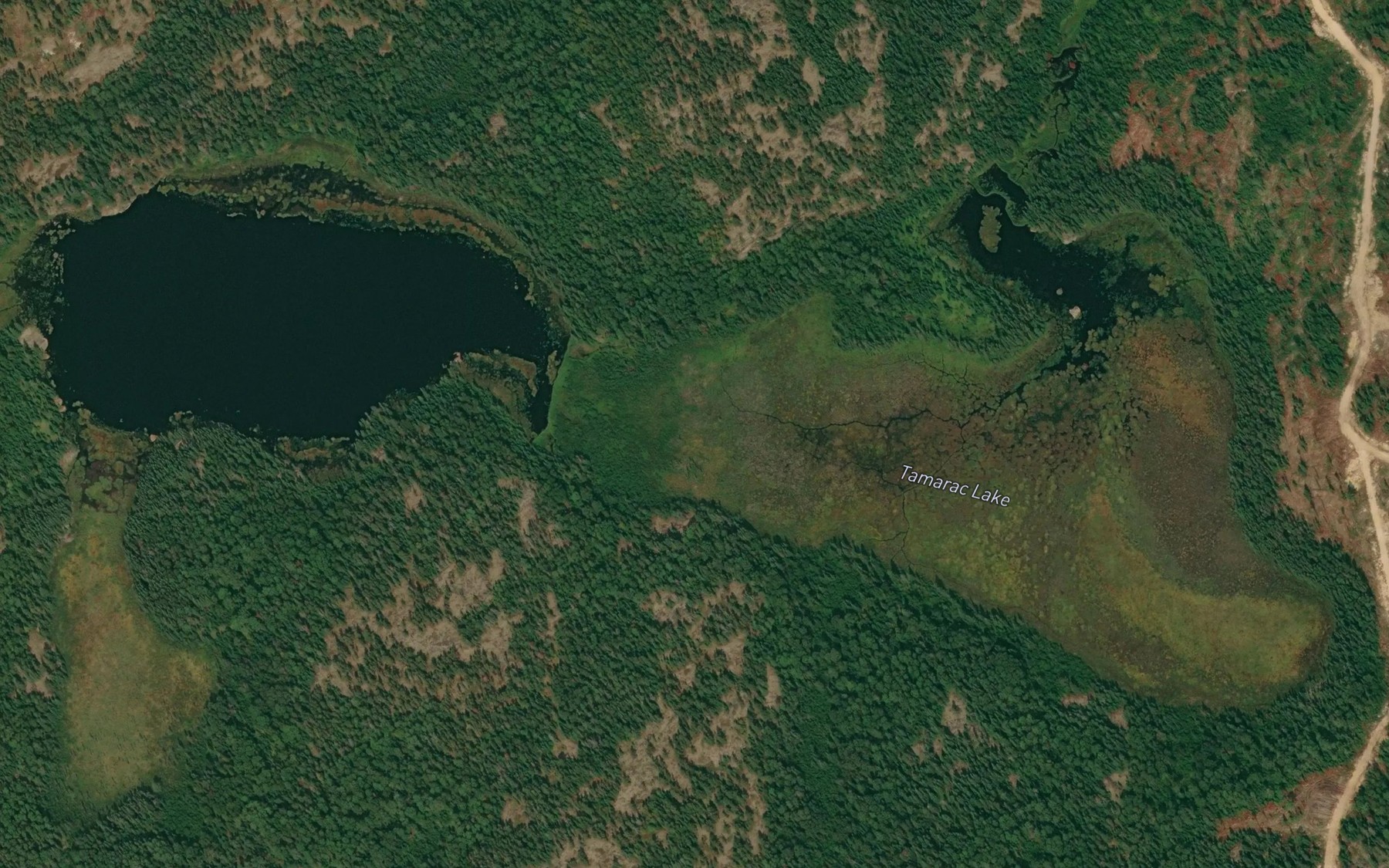 Satellite map of the Tamarac Lake