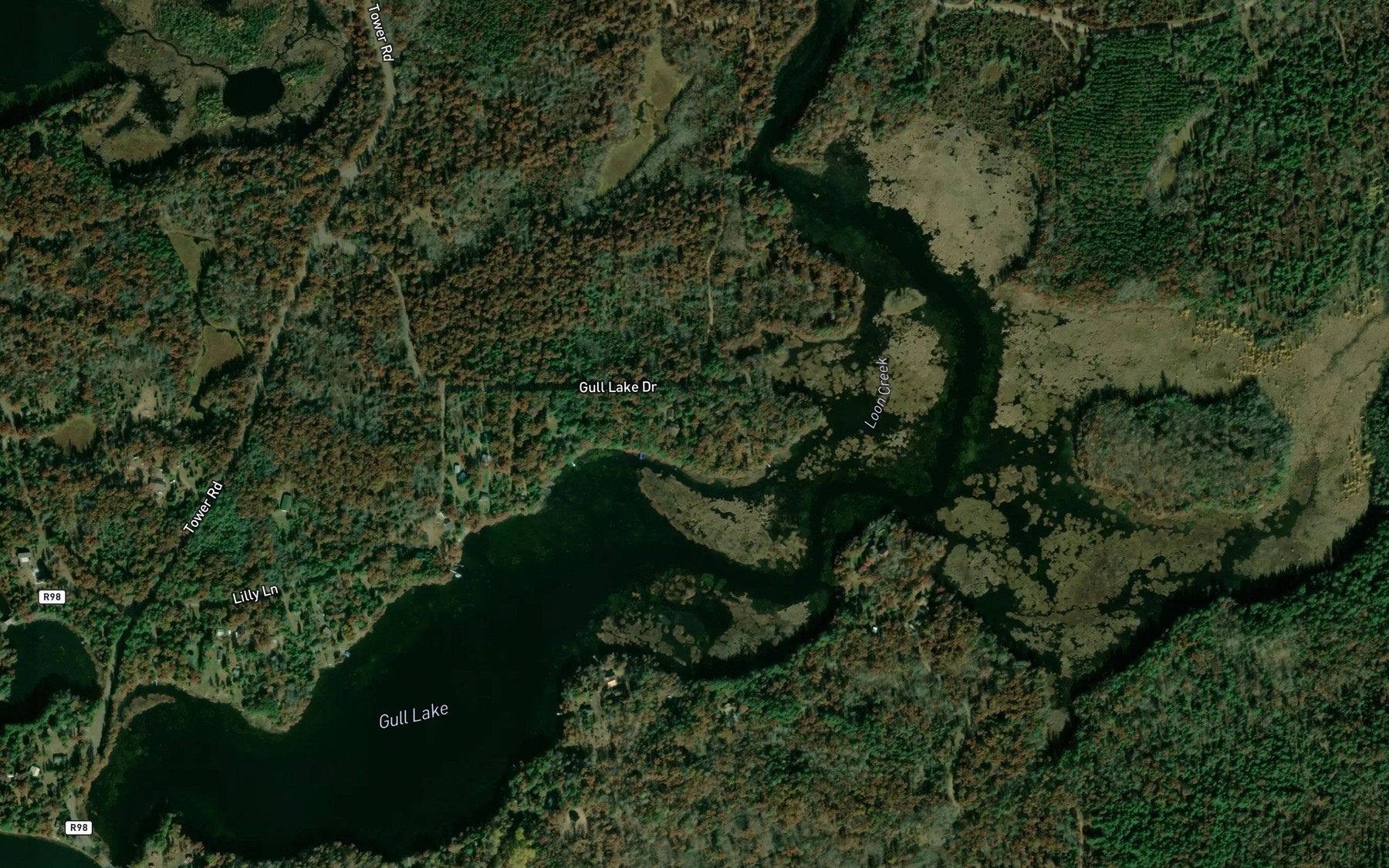 Satellite map of the Gull Lake