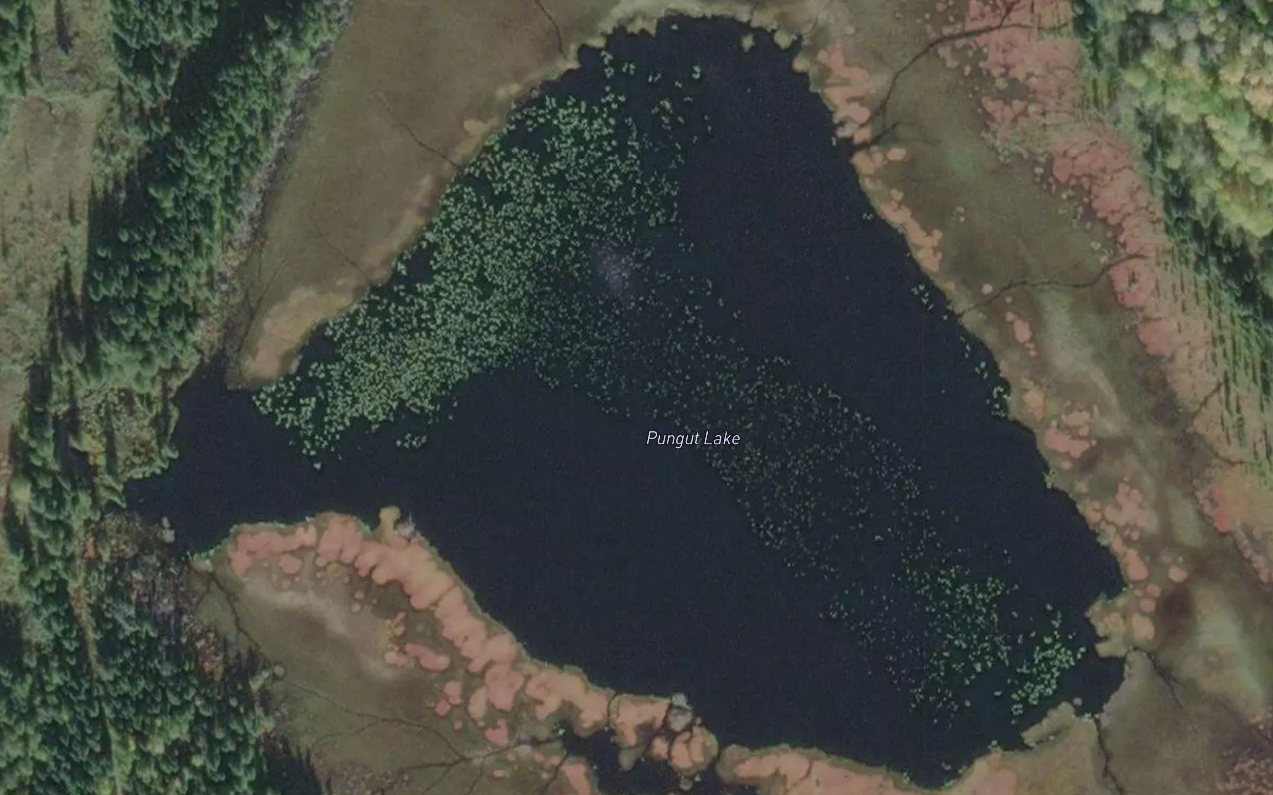 Pungut Lake