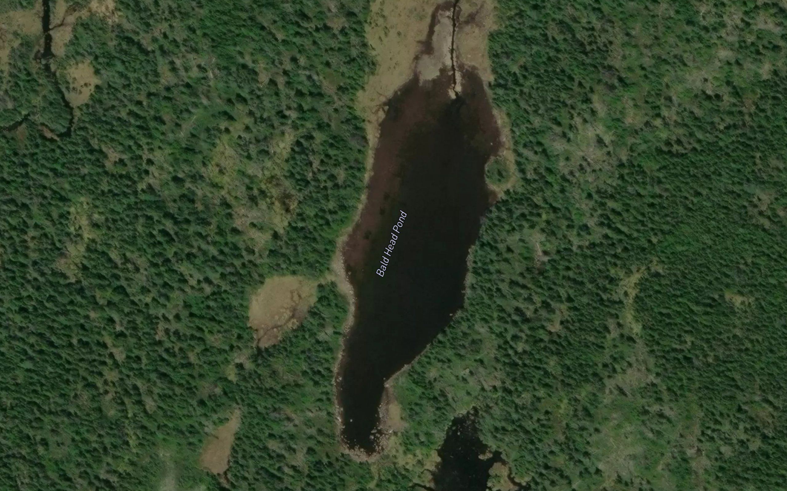 Bald Head Pond