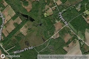 Meadow Prong
