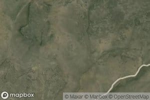 Chukar Guzzler