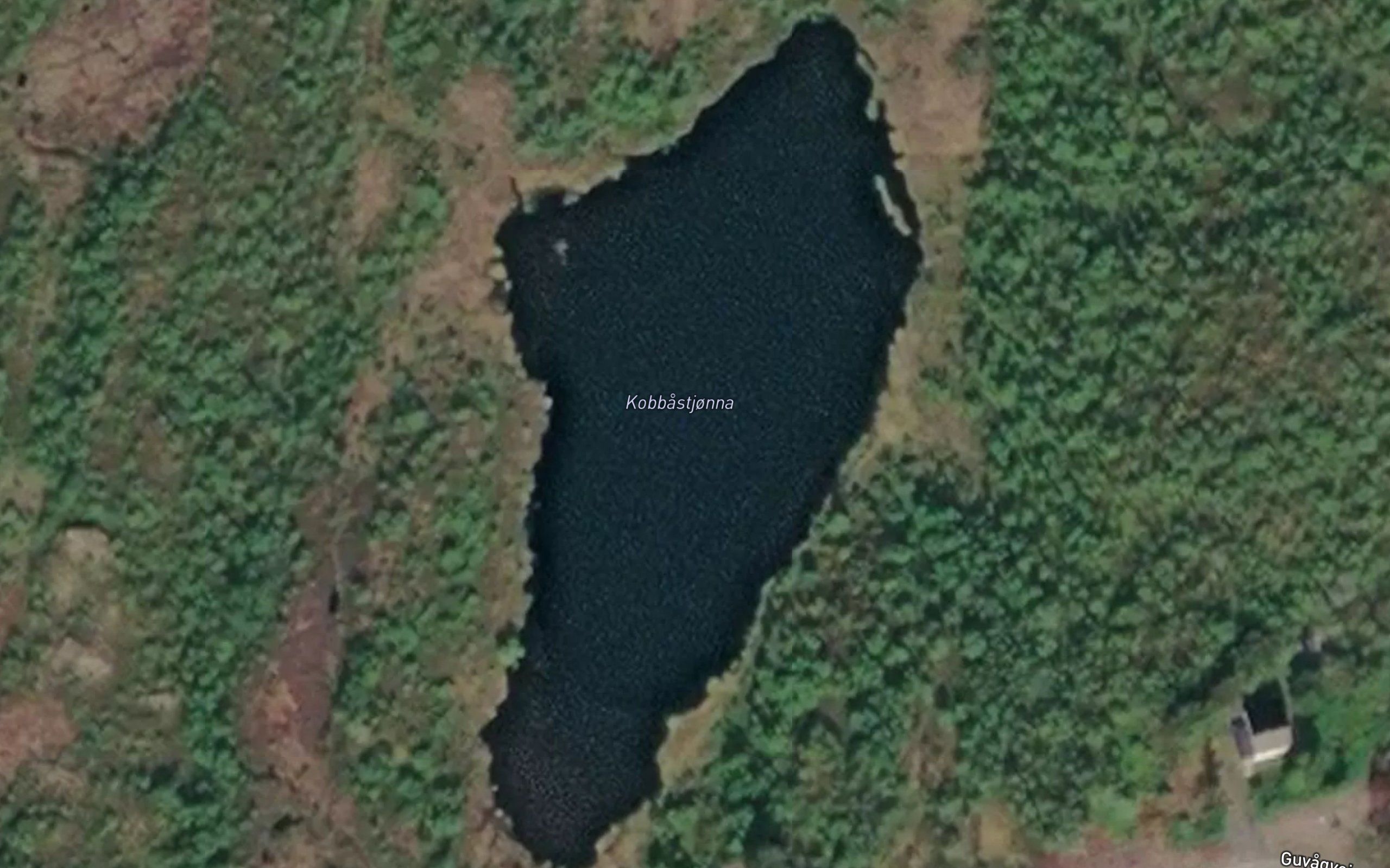 Kobbastjonna