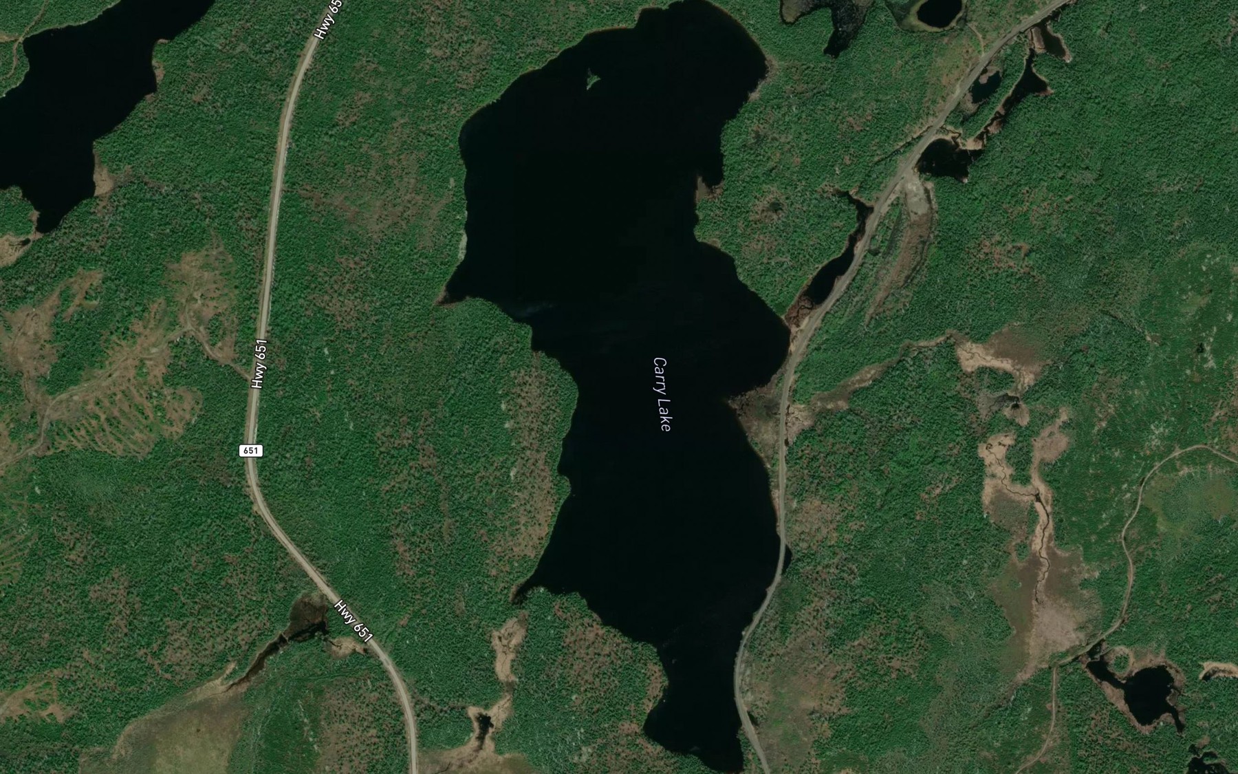 Satellite map of the Carry Lake