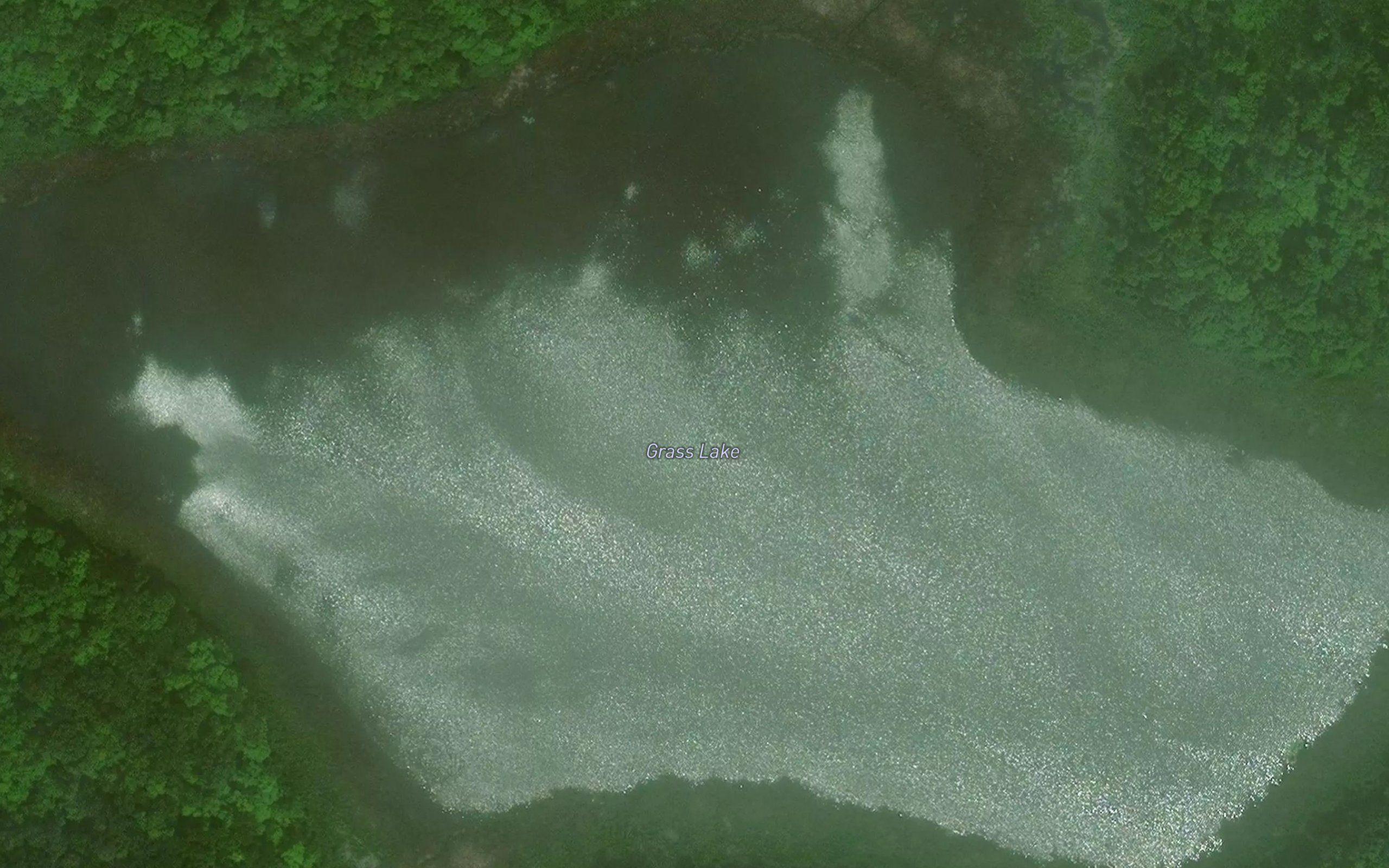 Grass Lake