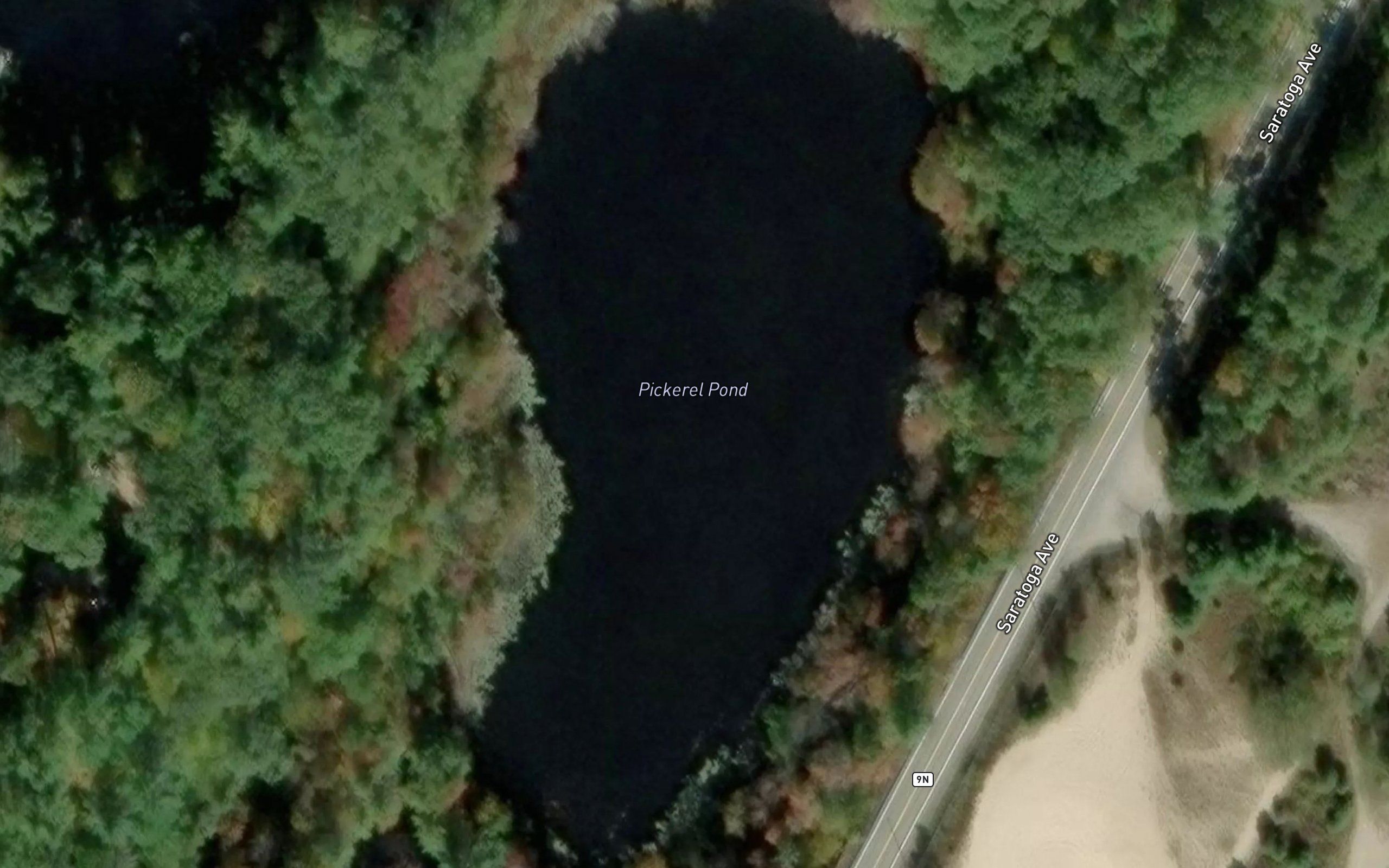 Pickerel Pond